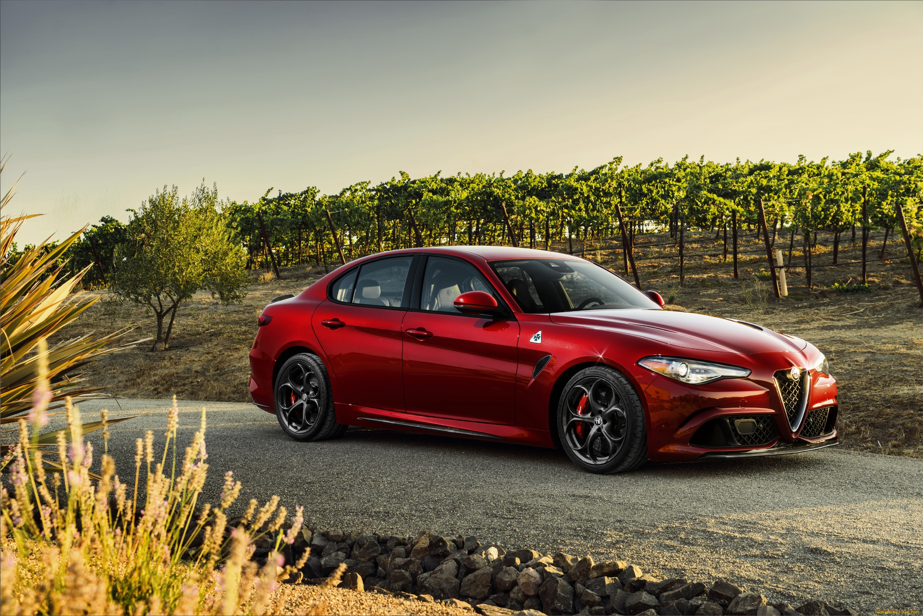 автомобили, alfa, romeo, 2017г, quadrifoglio, giulia, 952, us-spec, alfa, romeo