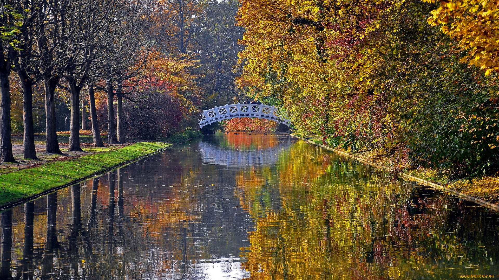 природа, парк, осень, деревья, мост, река