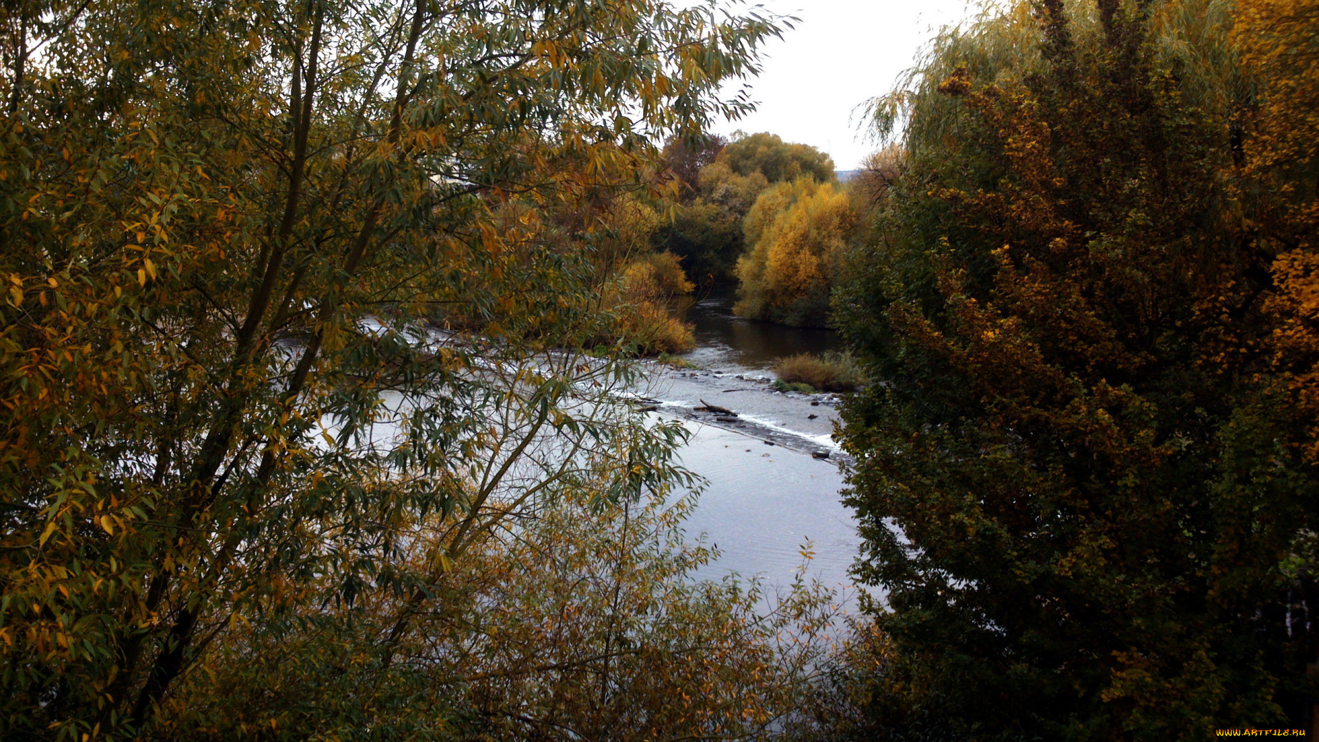 природа, реки, озера, деревья, осень, река