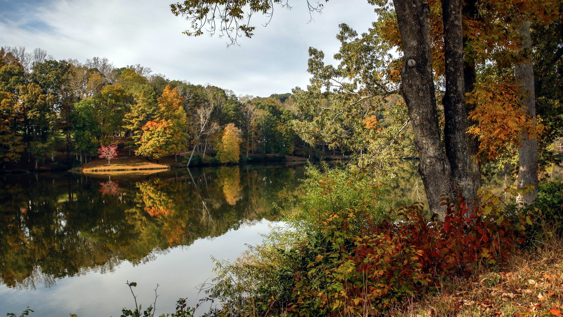 природа, реки, озера, осень, деревья, отражение, река, вода
