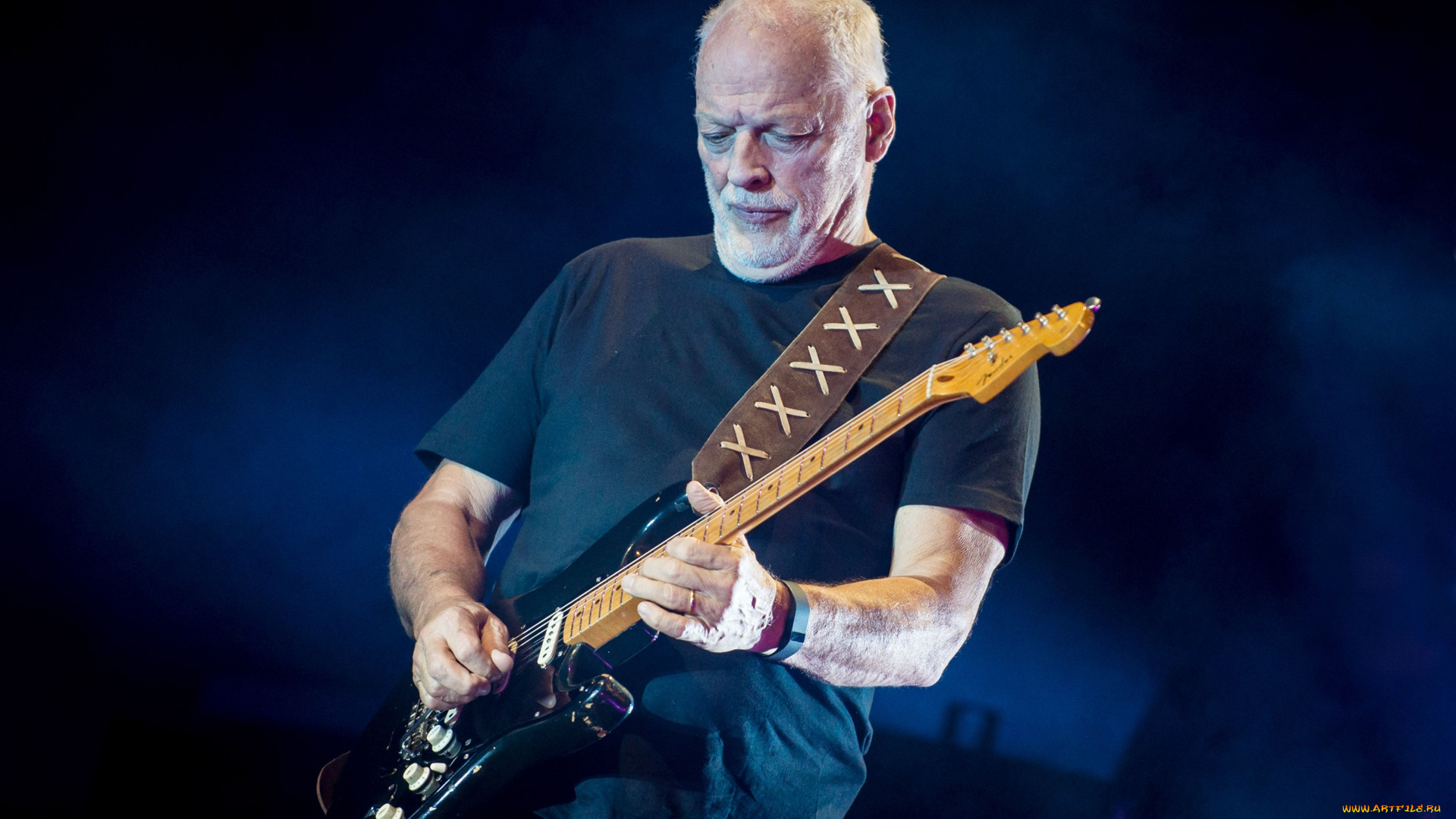 david, gilmour, музыка, музыкант