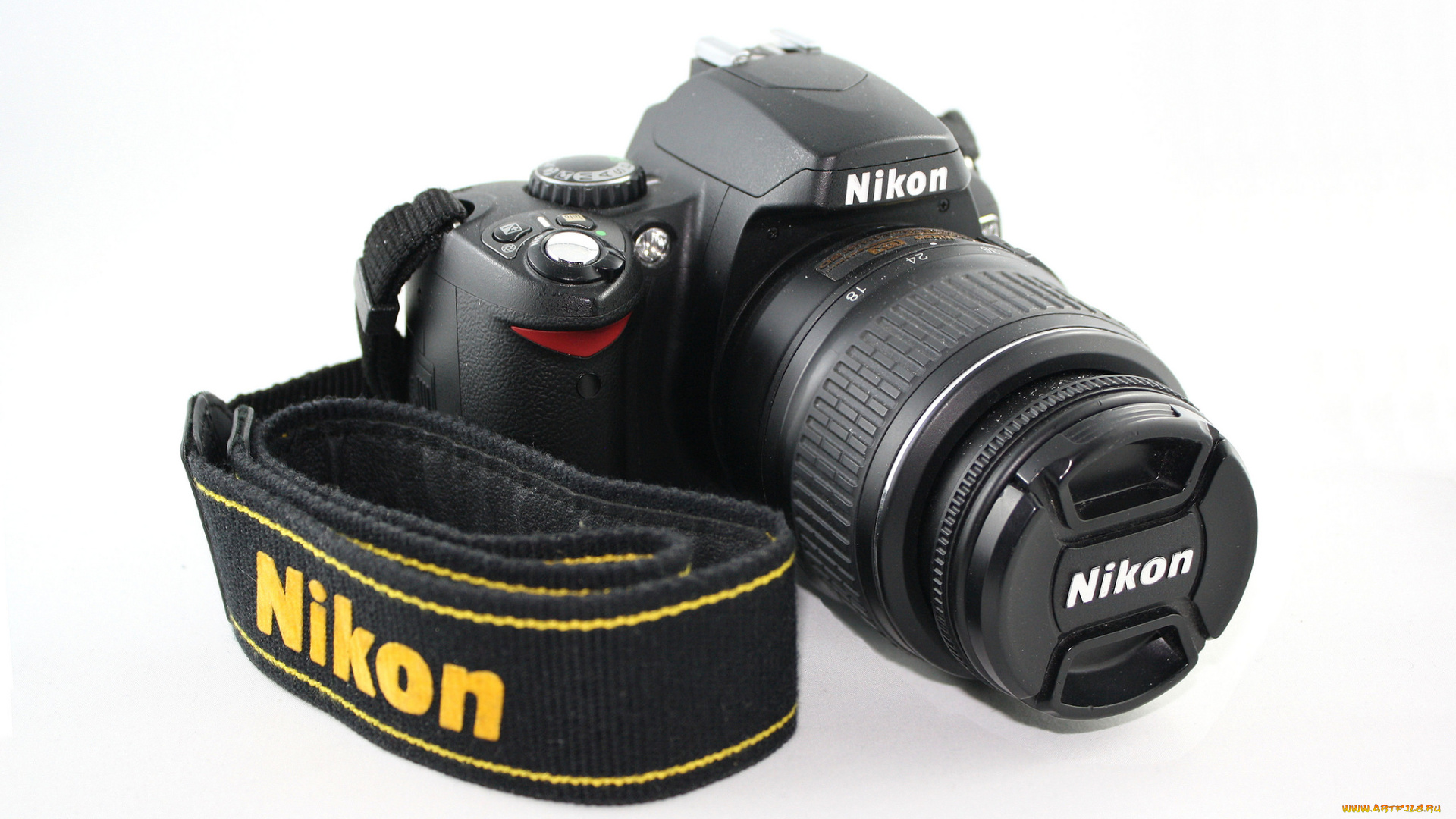 nikon, d40, бренды, nikon, фотокамера