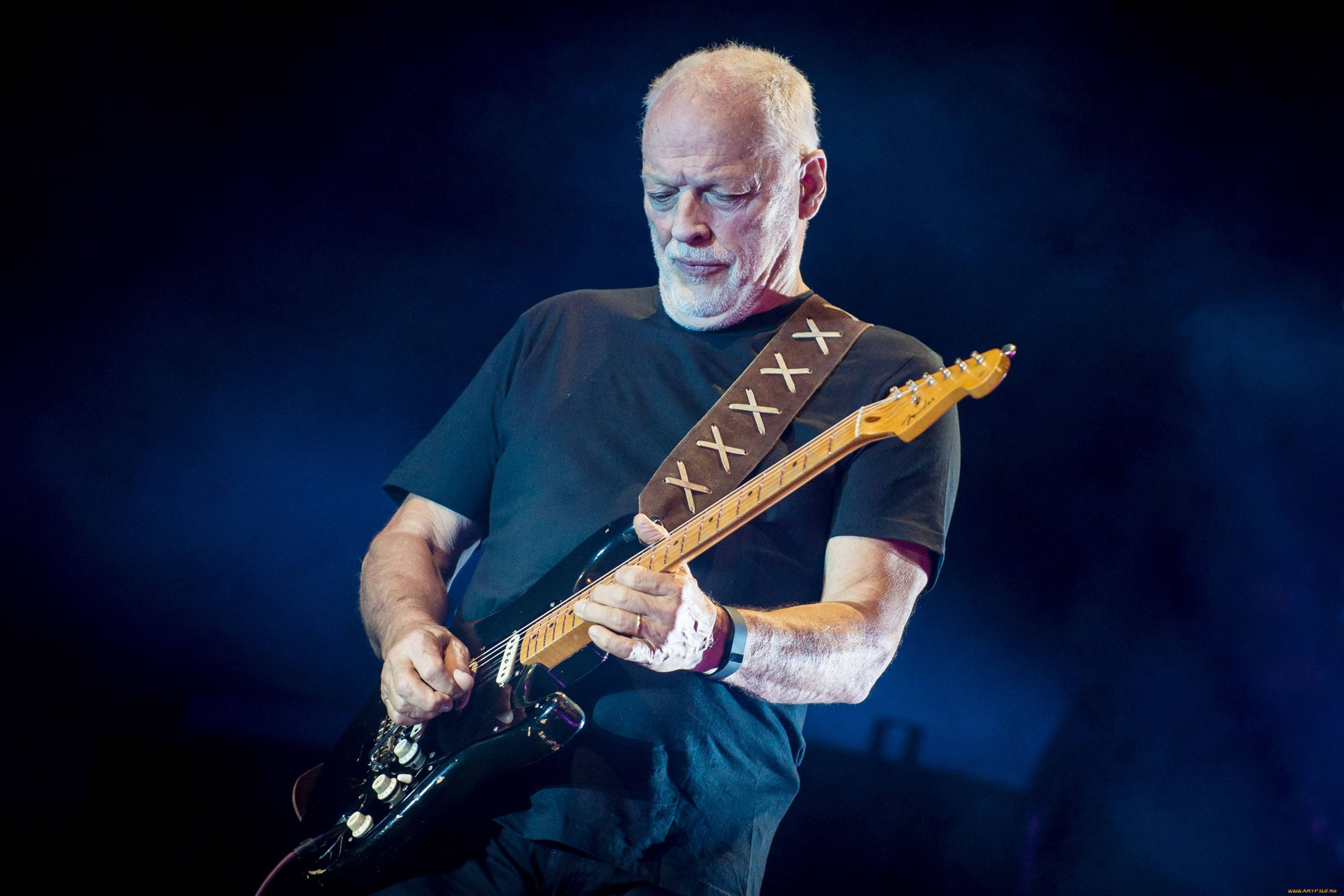 david, gilmour, музыка, музыкант