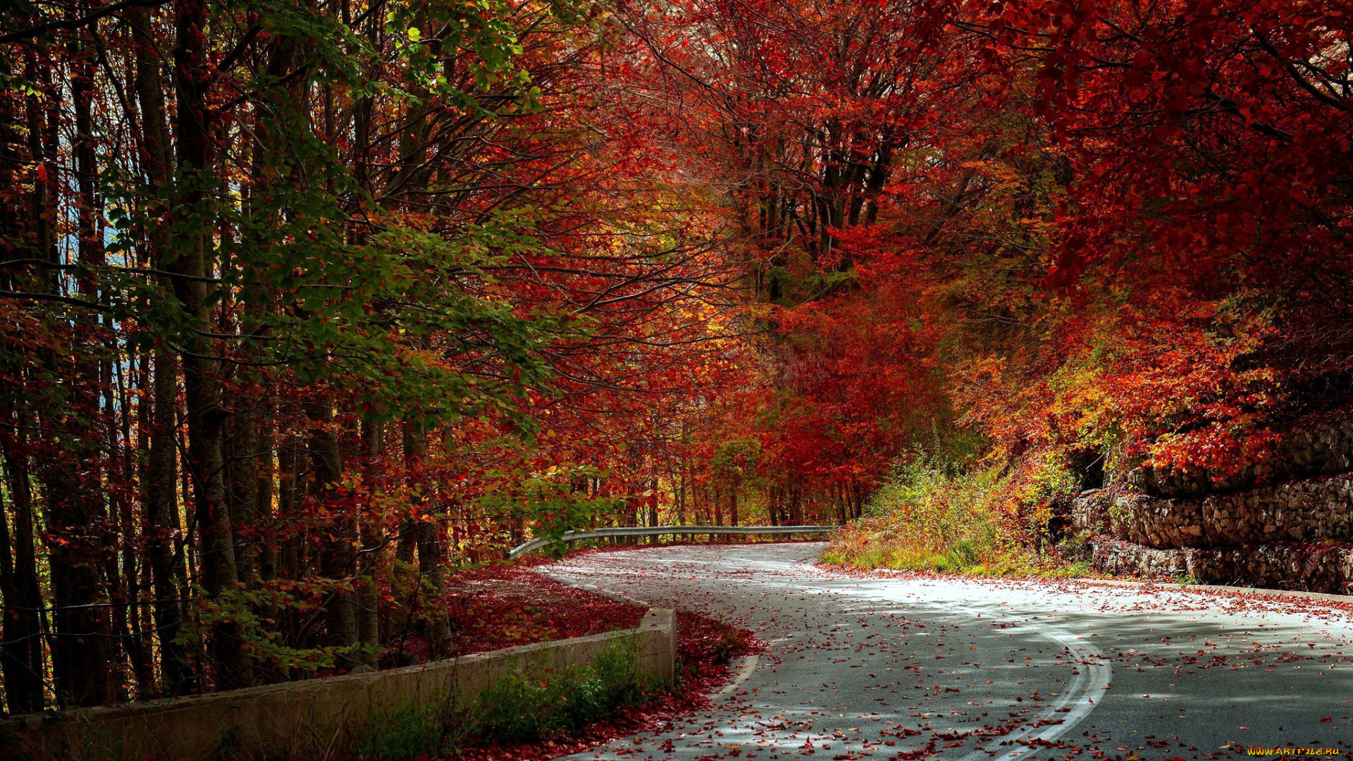 природа, дороги, осень, шоссе, дорога, листопад