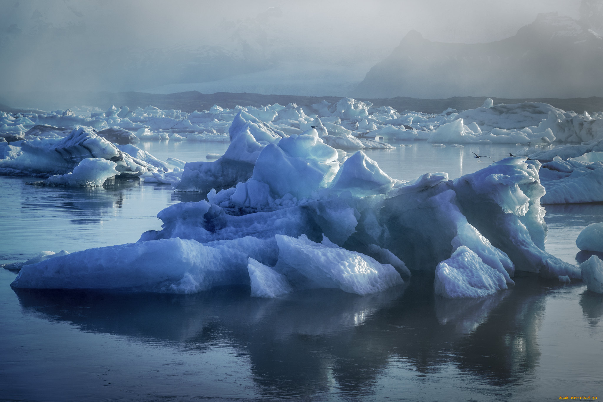 Показать ледовитый океан. Антарктида Гренландия Арктика Северный Ледовитый океан. Ледники Атлантического океана. Айсберг в тихом океане. Южный океан плавучие льды.