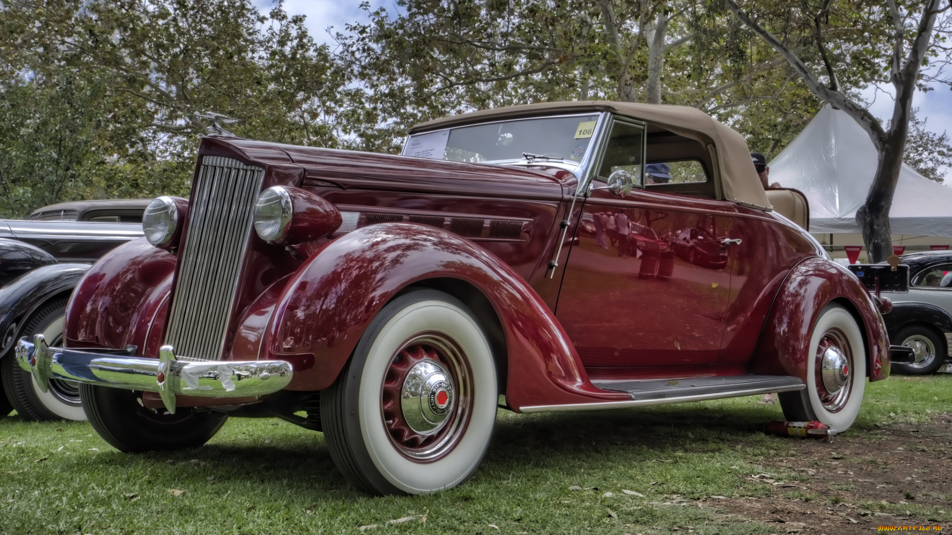 1937, packard, 115c, convertible, автомобили, выставки, и, уличные, фото, выставка, автошоу