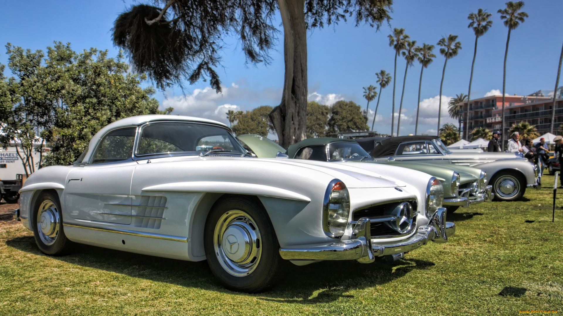 1959, mercedes-benz, 300sl, автомобили, выставки, и, уличные, фото, автошоу, выставка