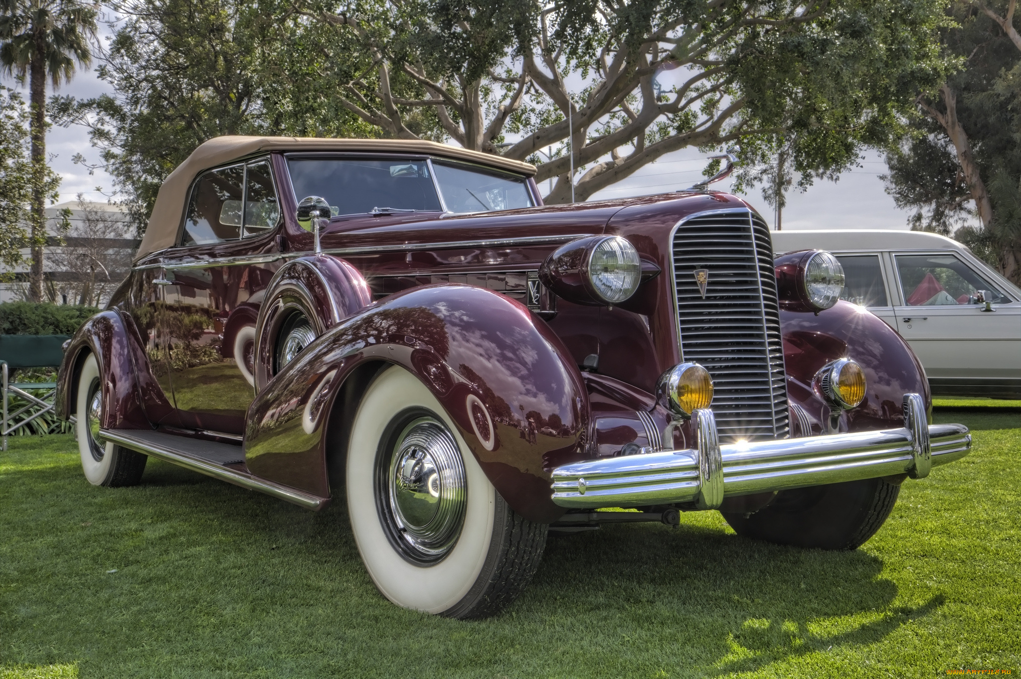 1936, cadillac, model, 8067, v12, convertible, coupe, автомобили, выставки, и, уличные, фото, автошоу, выставка