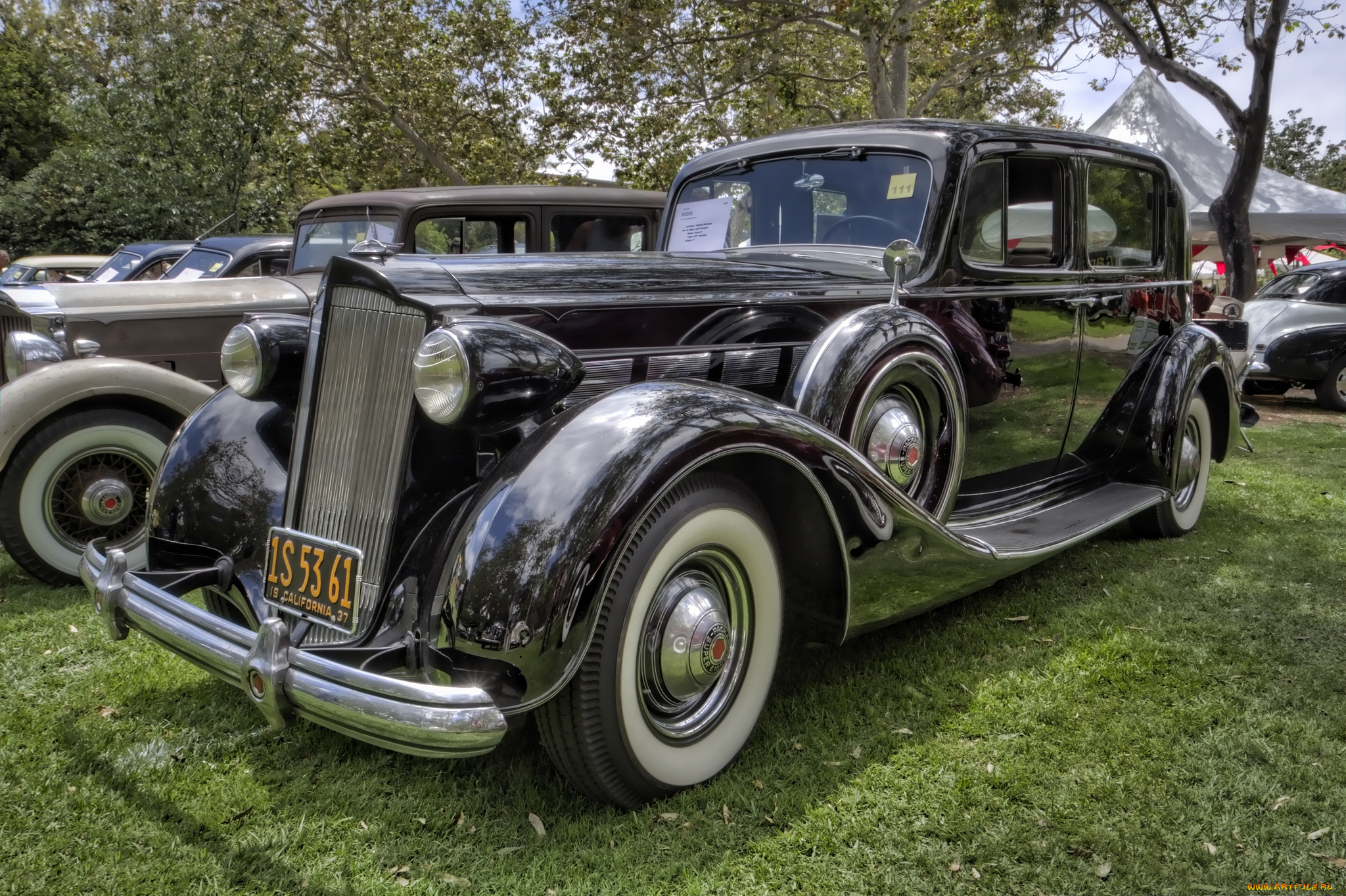 1937, packard, super, eight, автомобили, выставки, и, уличные, фото, выставка, автошоу