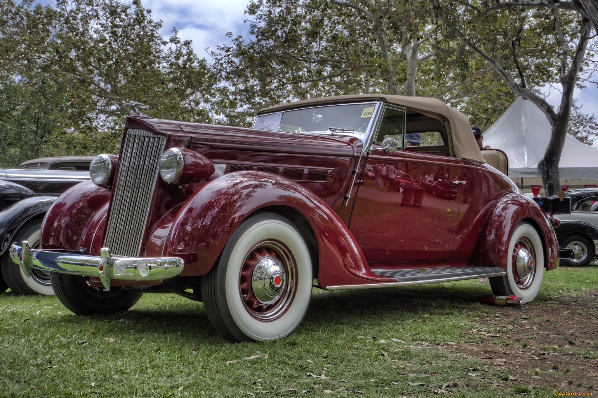 1937, packard, 115c, convertible, автомобили, выставки, и, уличные, фото, выставка, автошоу