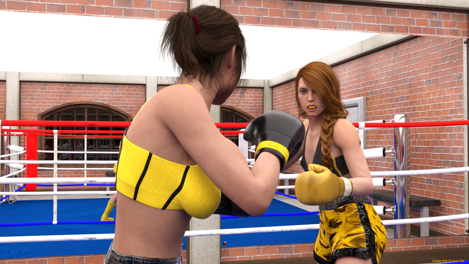 Девушки ринга фикс бокс