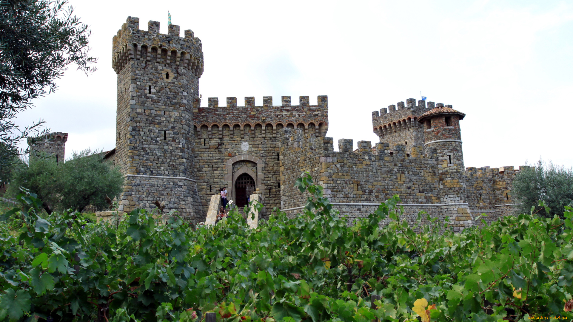 castello, di, amorosa, california, города, дворцы, замки, крепости, виноградник, башни