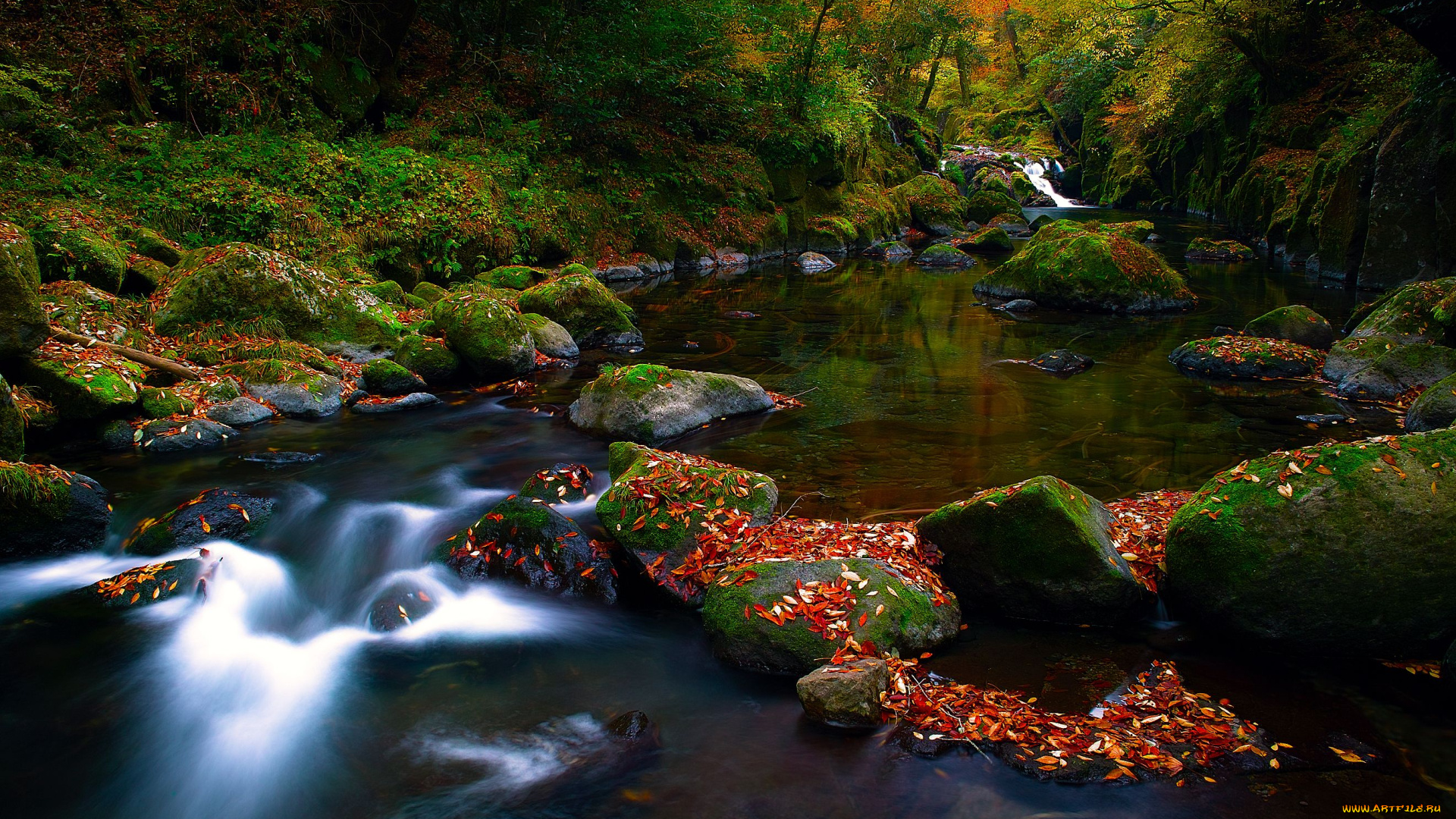 природа, реки, озера, лес, листья, камни, река, осень, деревья