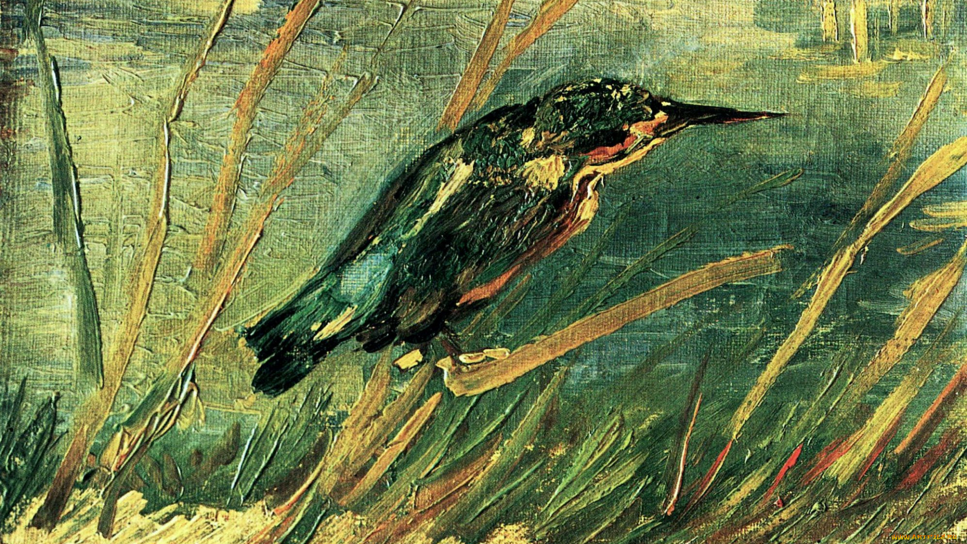 the, kingfisher, рисованные, vincent, van, gogh, зимородок