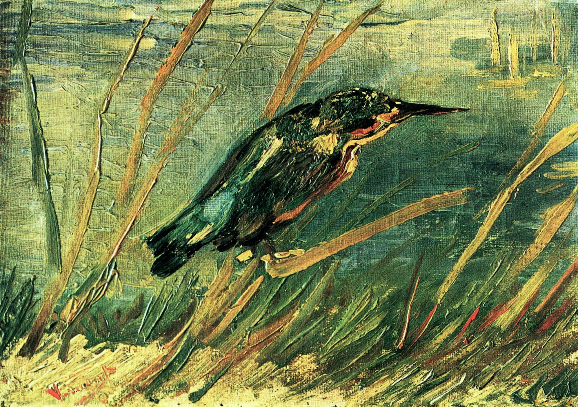 the, kingfisher, рисованные, vincent, van, gogh, зимородок