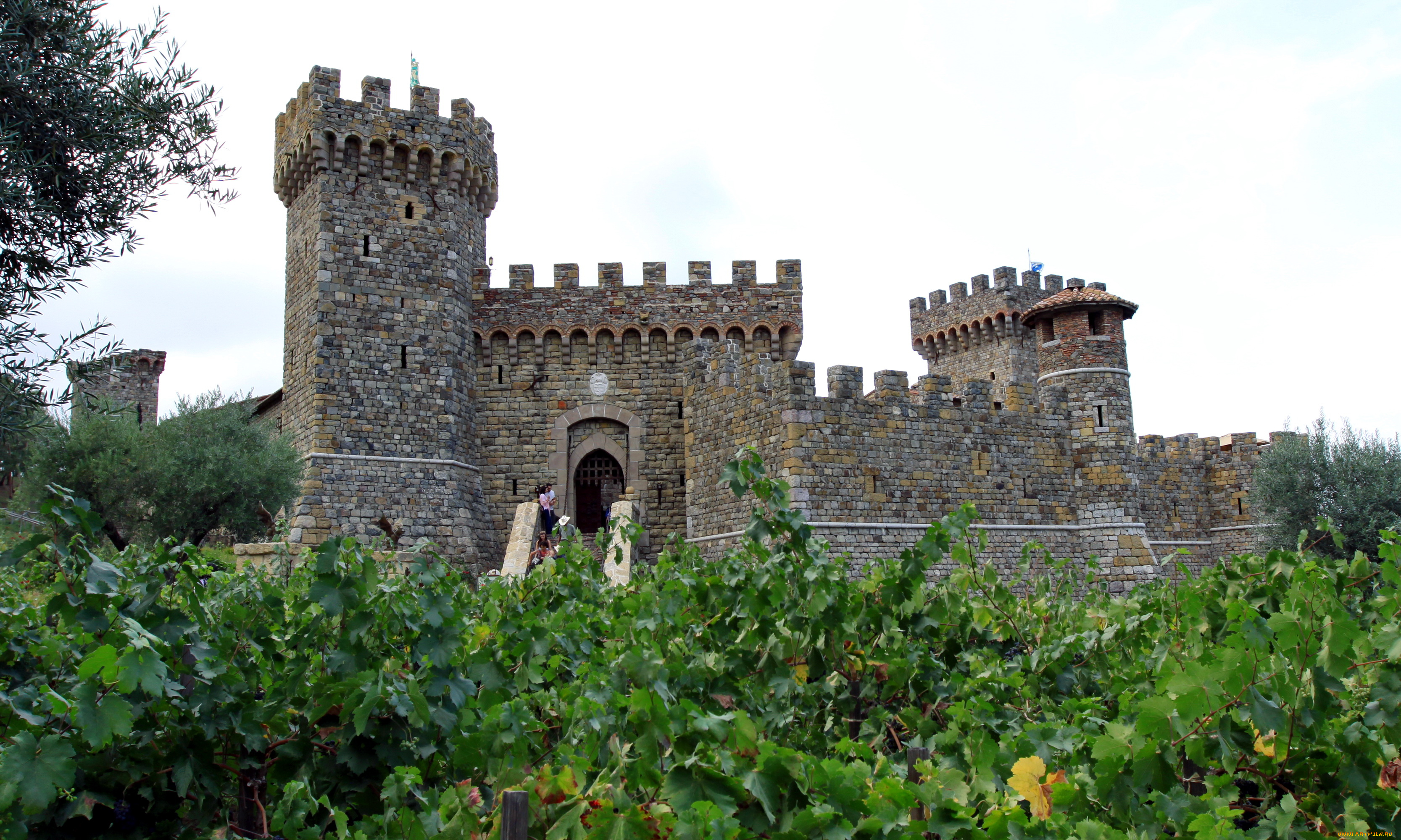 castello, di, amorosa, california, города, дворцы, замки, крепости, виноградник, башни