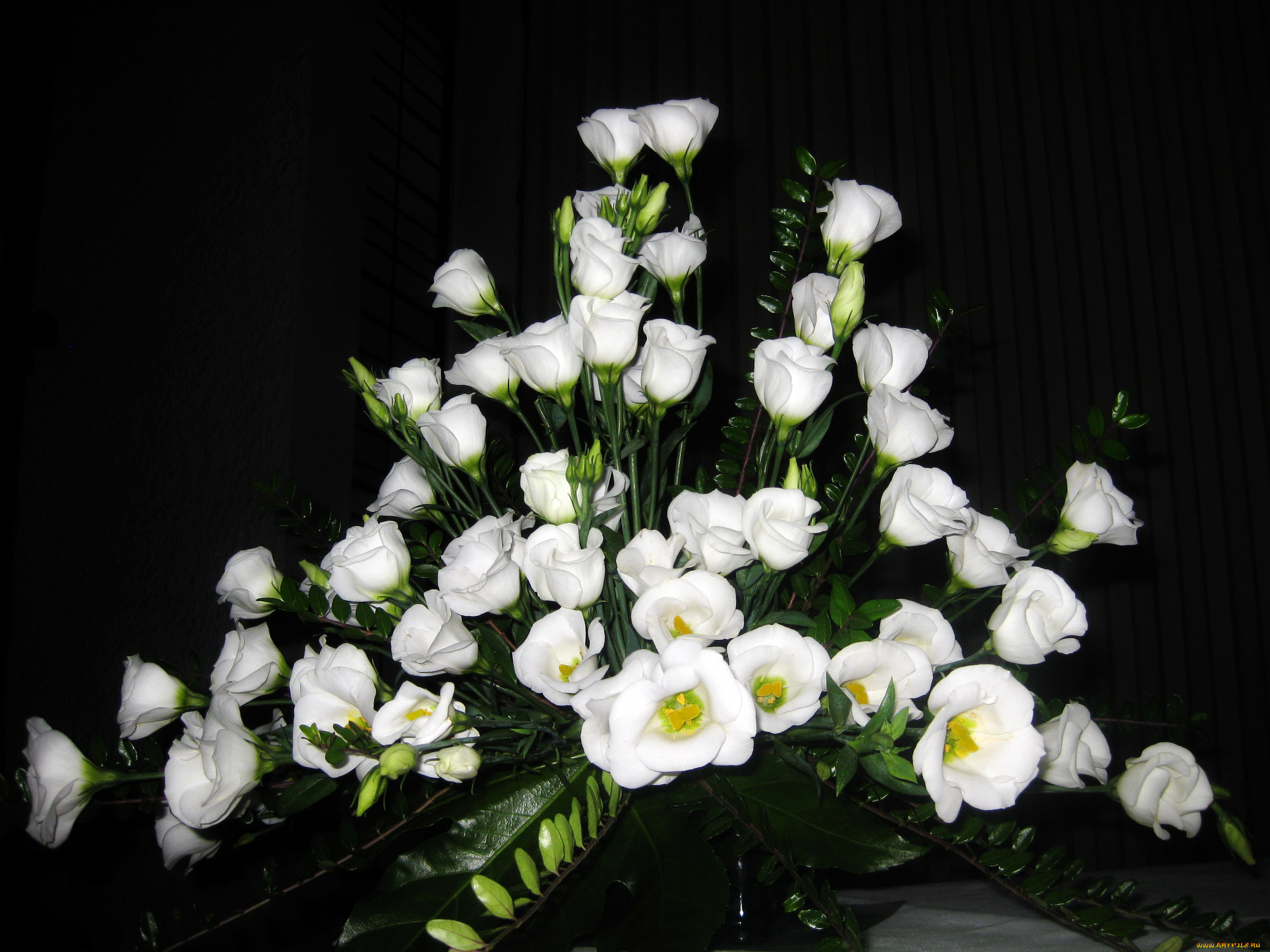 цветы, эустома, букет, белые