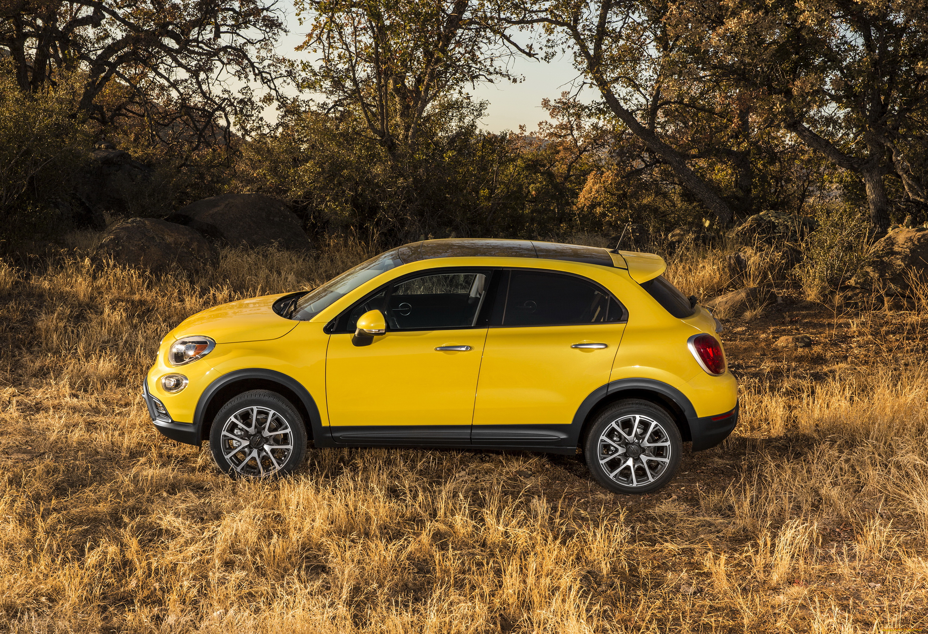 2014, fiat, 500x, trekking, plus, автомобили, fiat, тюнинг, желтый, металлик