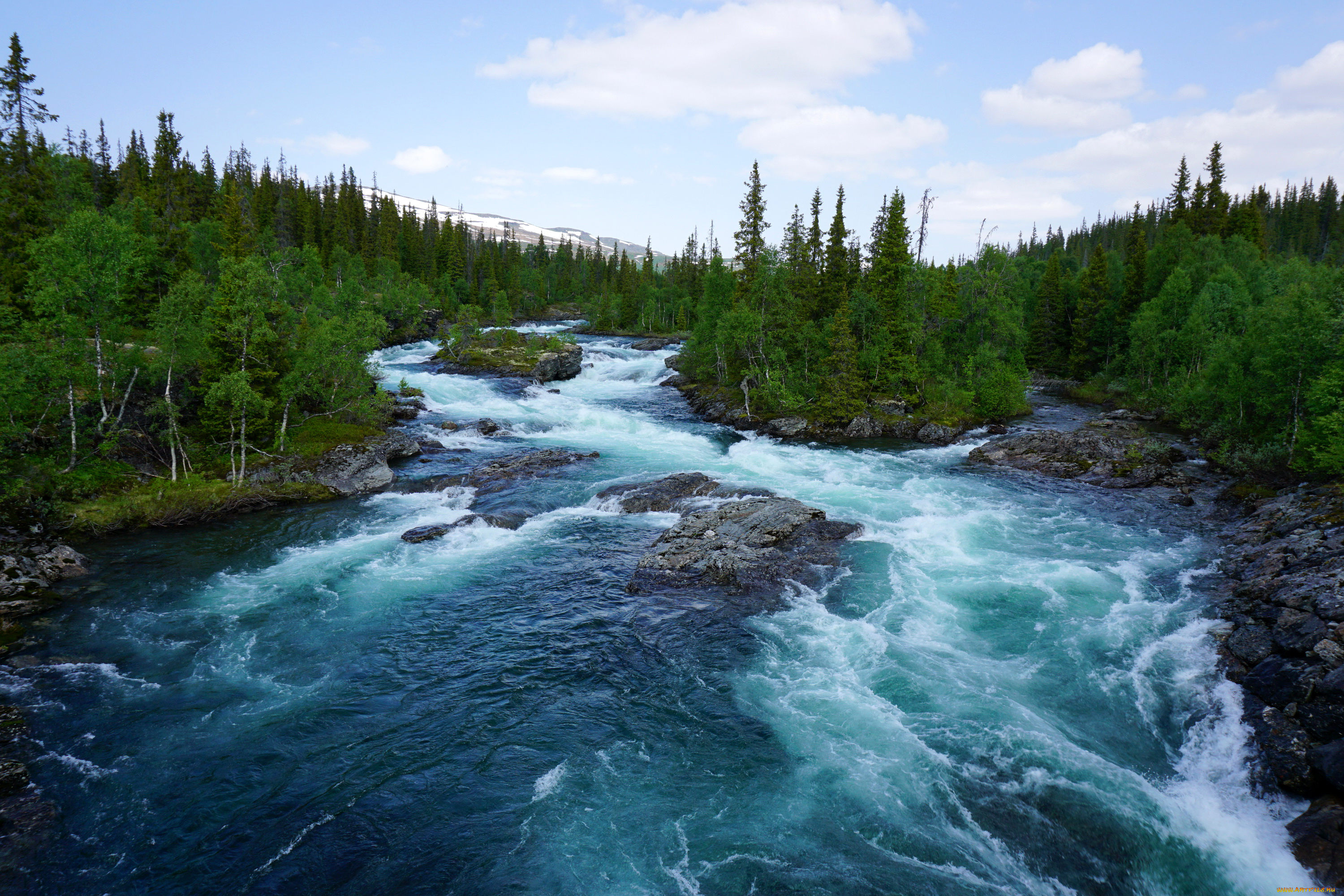 природа, реки, озера, река, лес, норвегия, деревья, камни, течение