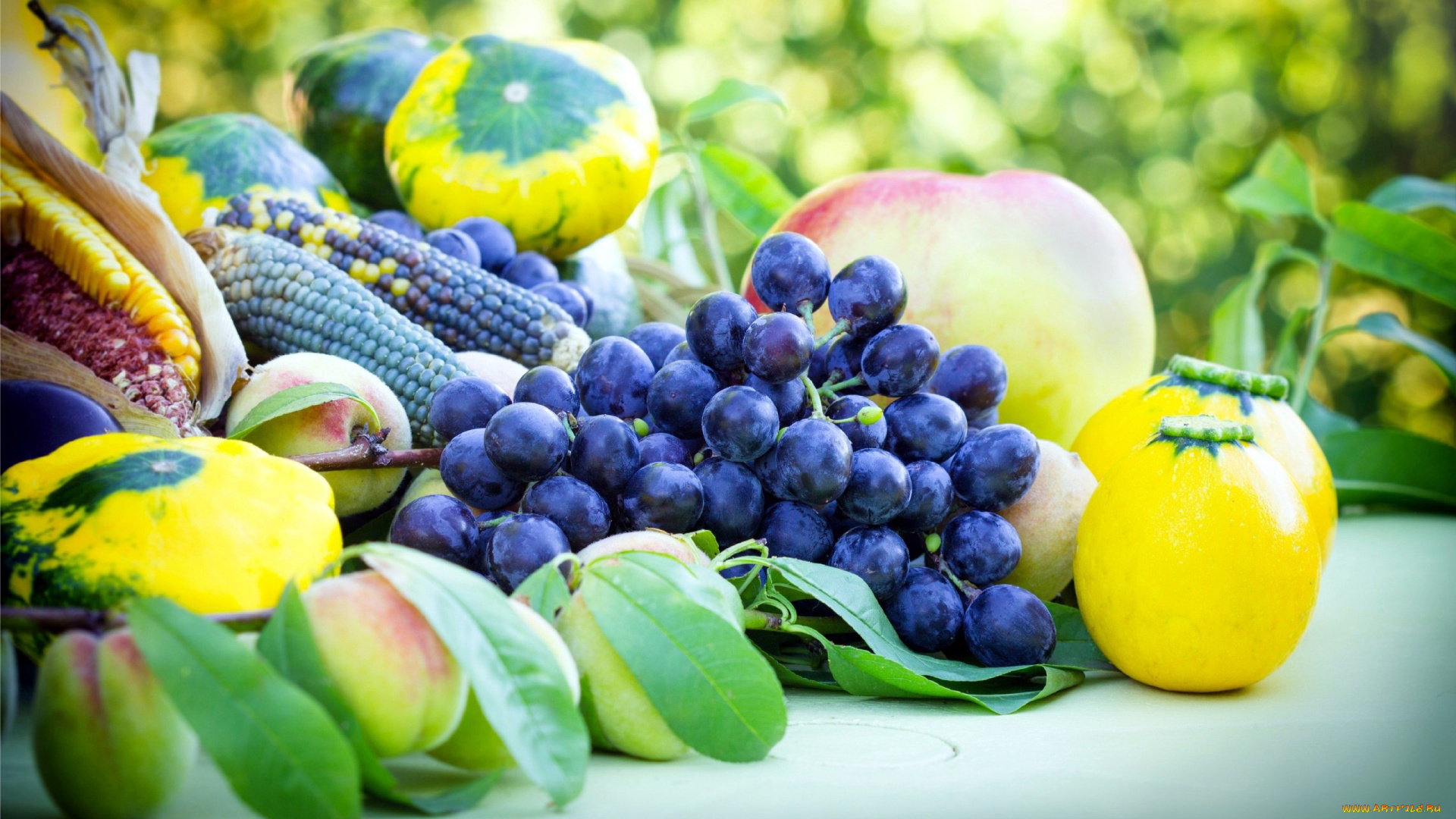 еда, фрукты, и, овощи, вместе, виноград, тыква, кукуруза, персики