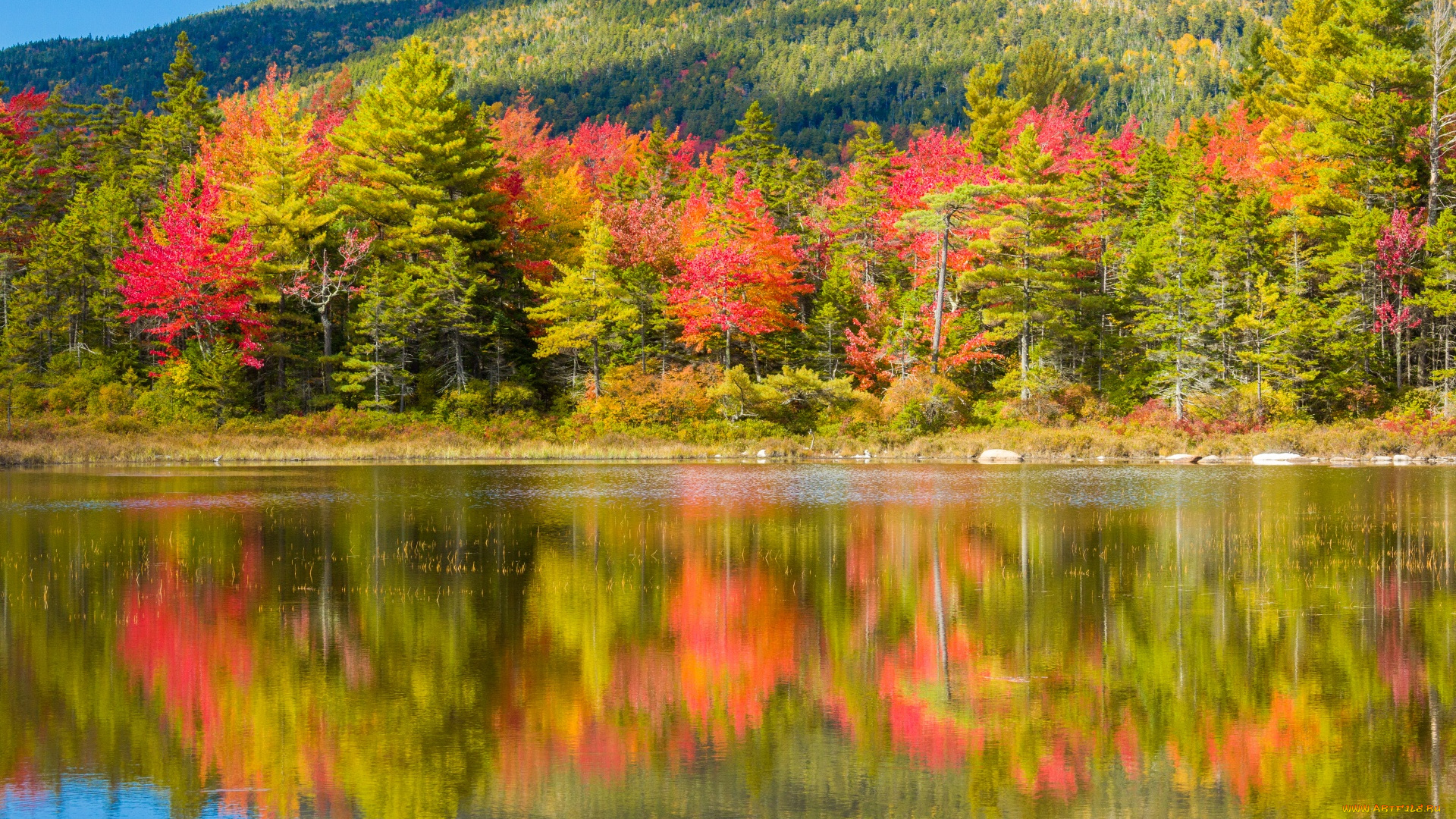 природа, реки, озера, осень, деревья, река, отражение