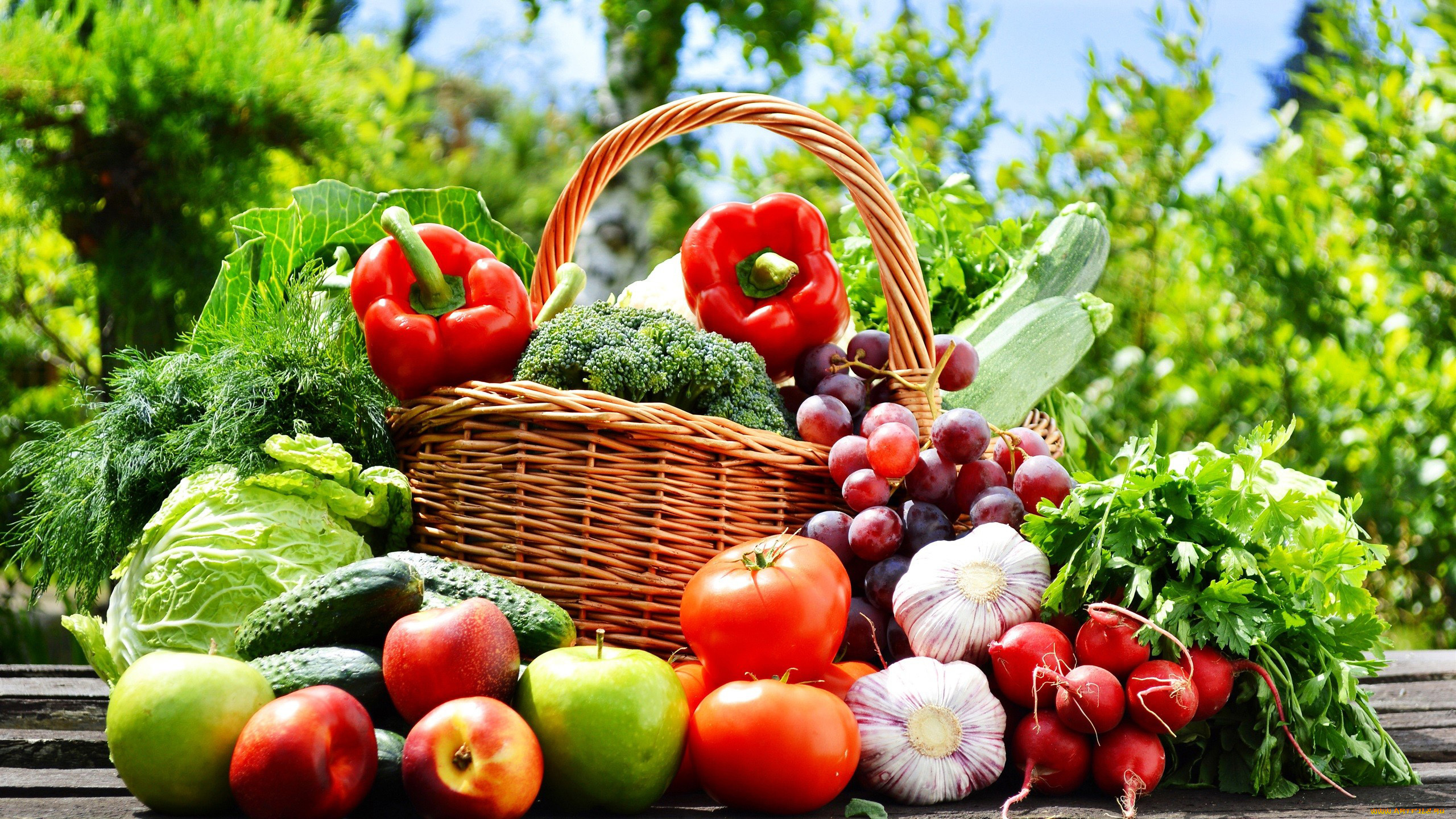 еда, фрукты, и, овощи, вместе, яблоки, виноград, нектарины, кабачки, помидоры, перец, зелень, капуста, редис, томаты