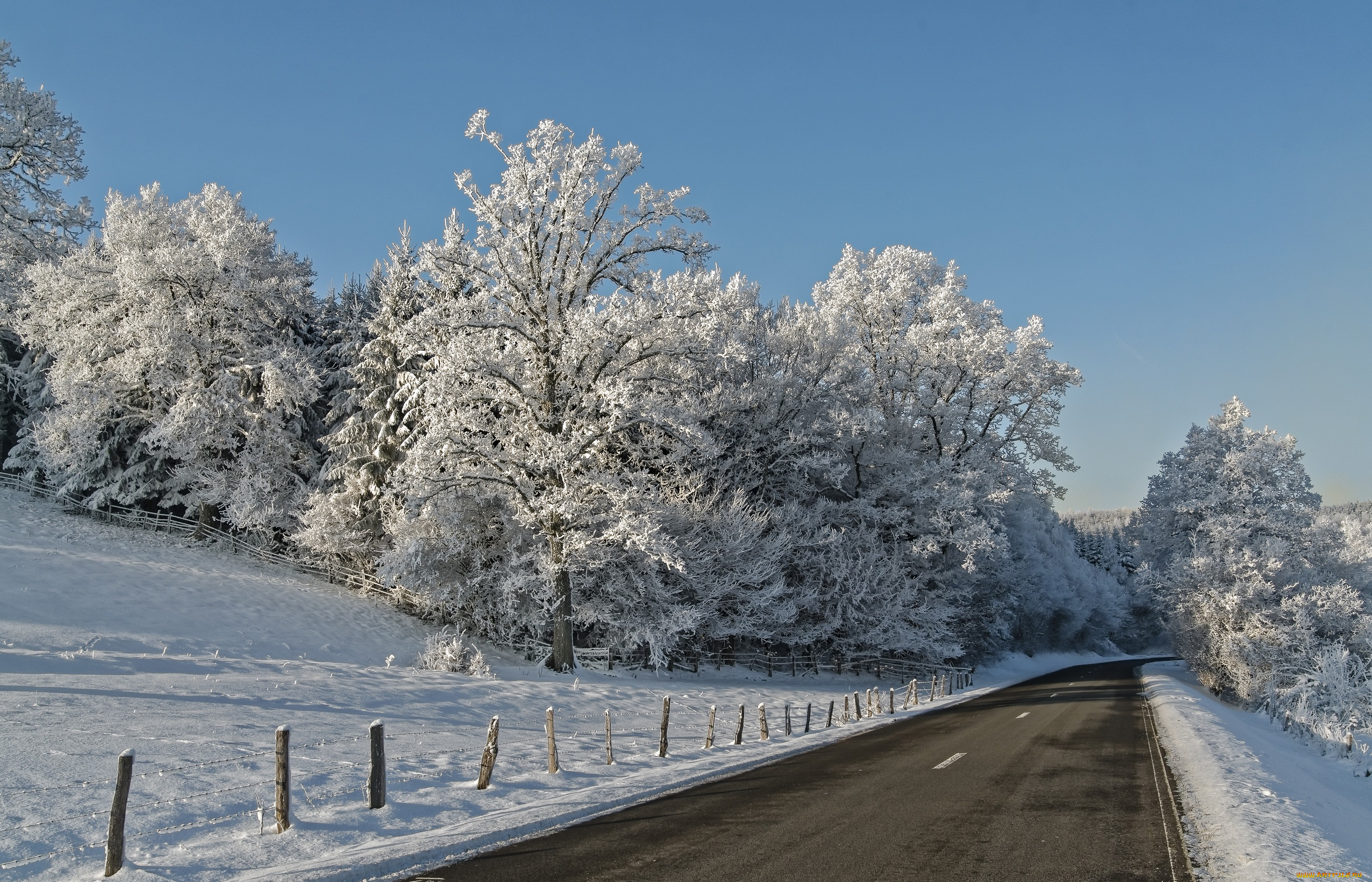 природа, дороги, деревья, снег