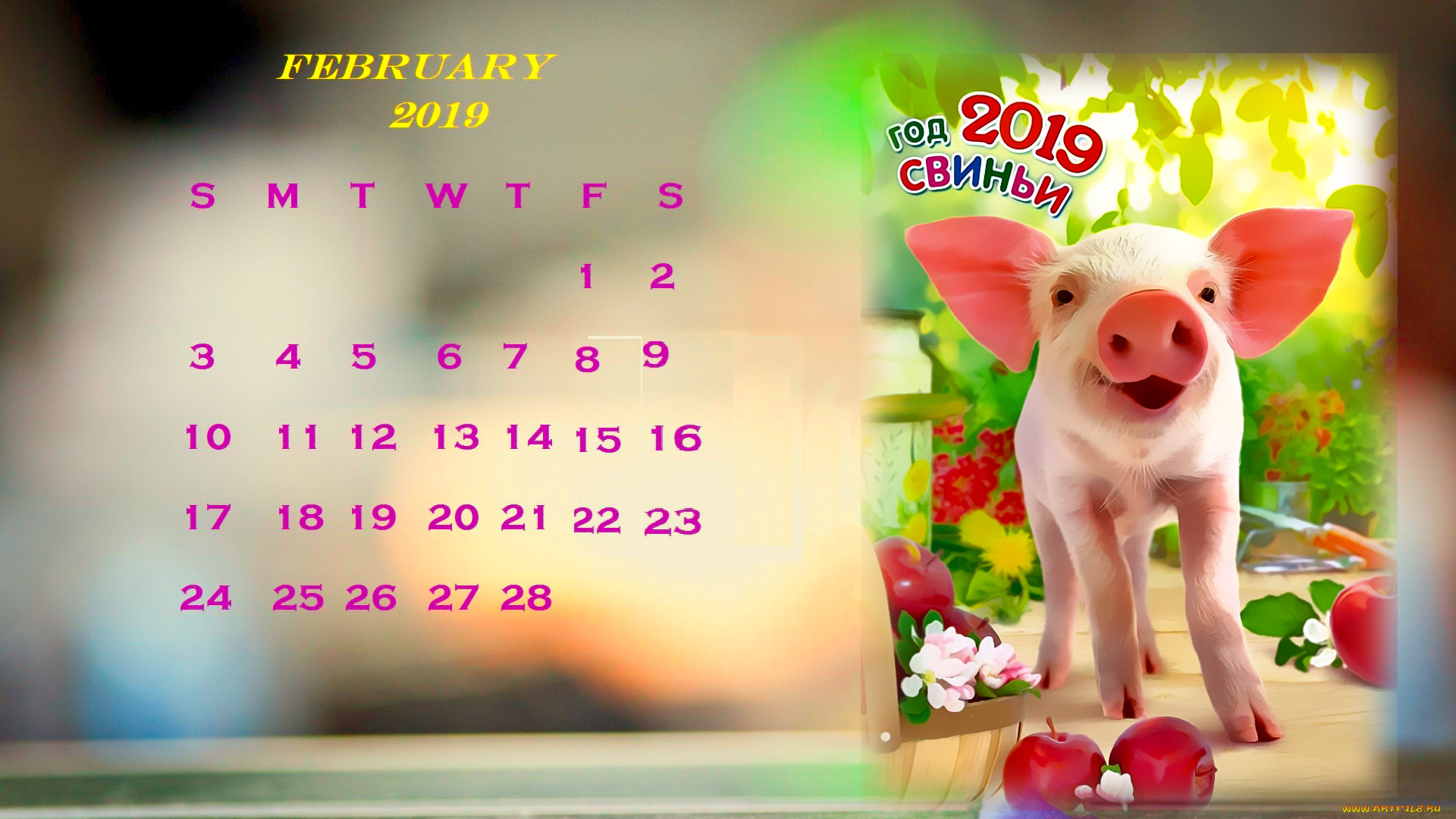 календари, праздники, , салюты, свинья, поросенок, яблоко