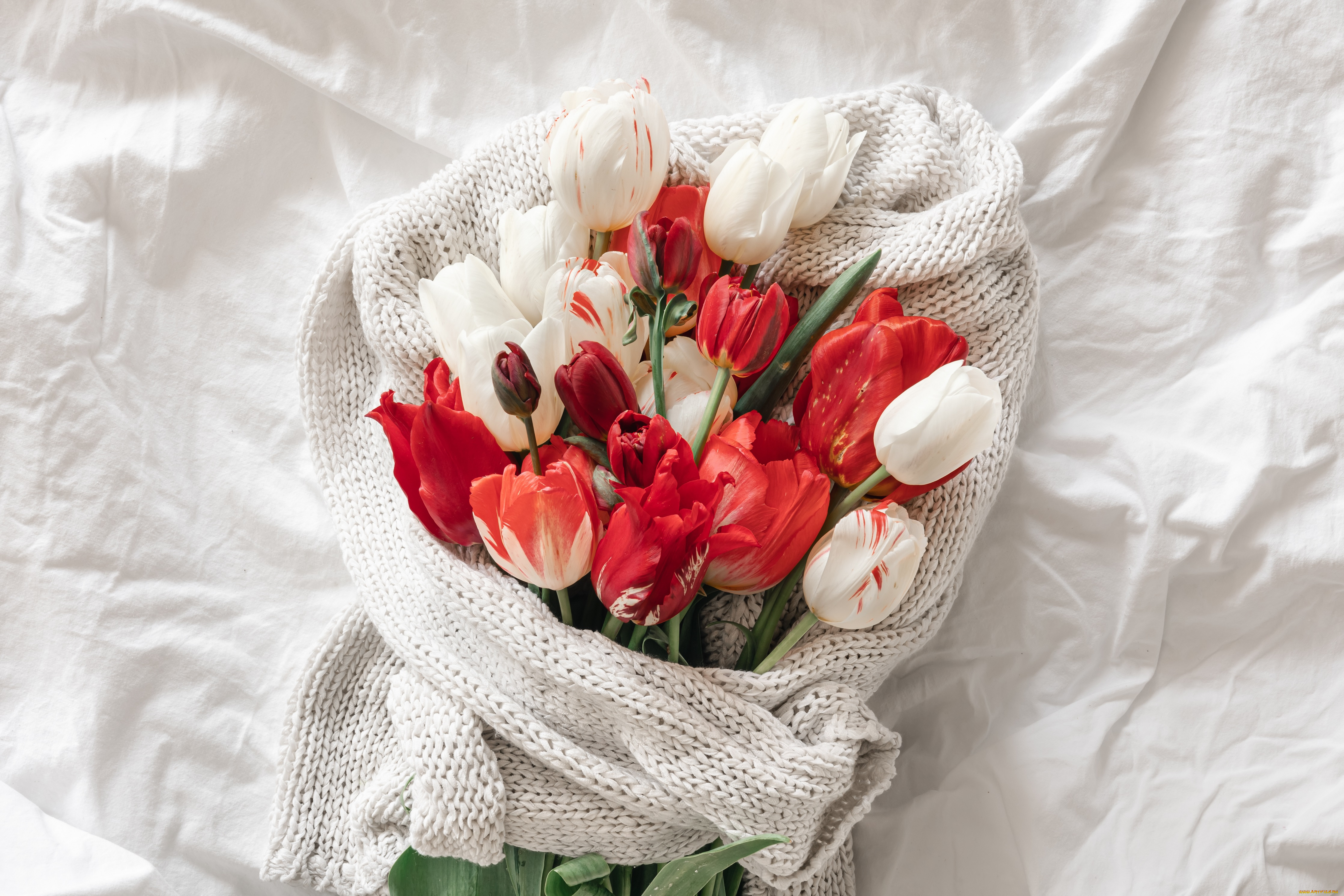 цветы, тюльпаны, ткань
