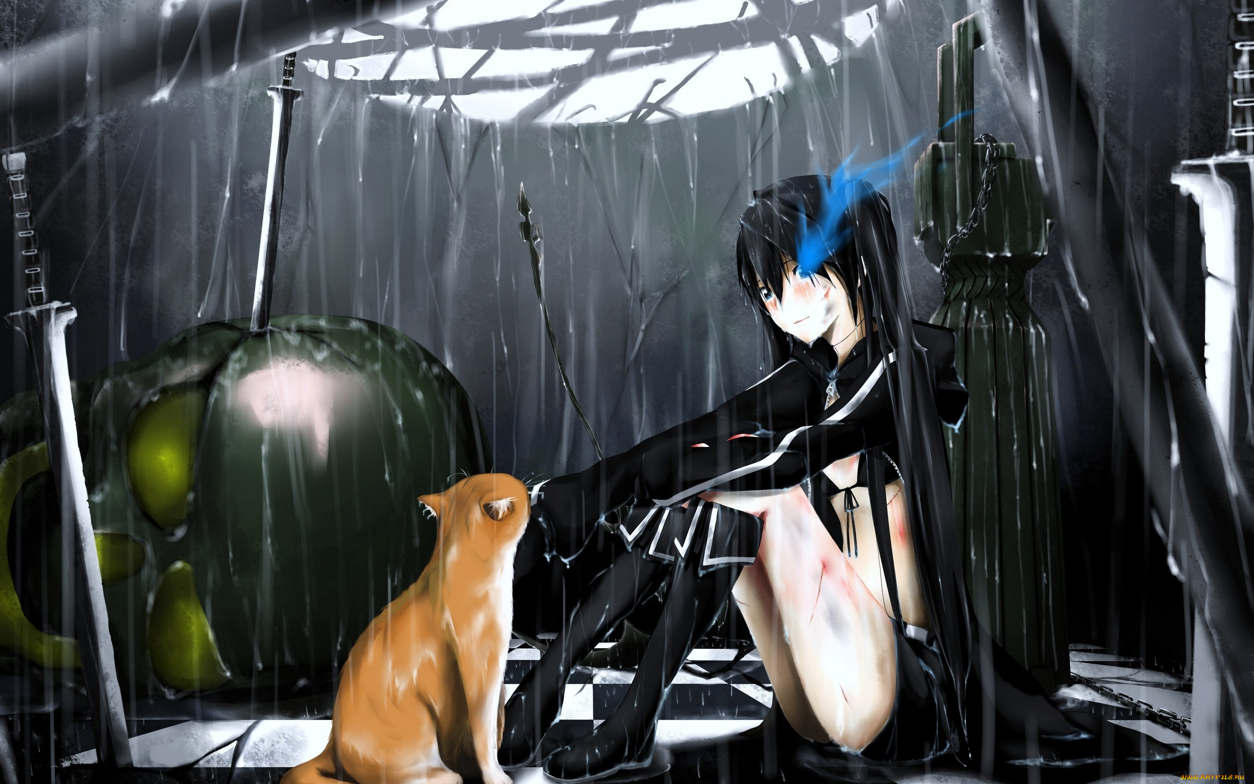 аниме, black, rock, shooter, кошка, дождь, девушка