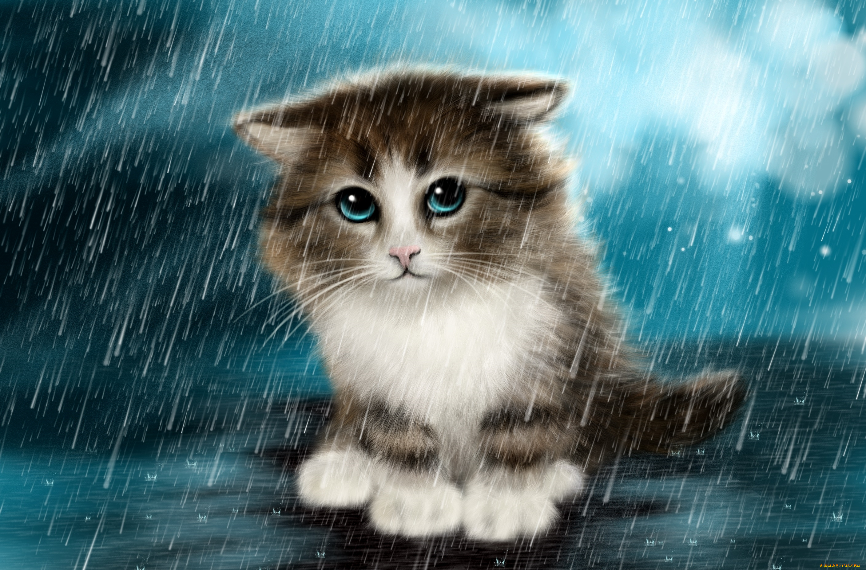 рисованное, животные, , коты, котенок, дождь, грусть