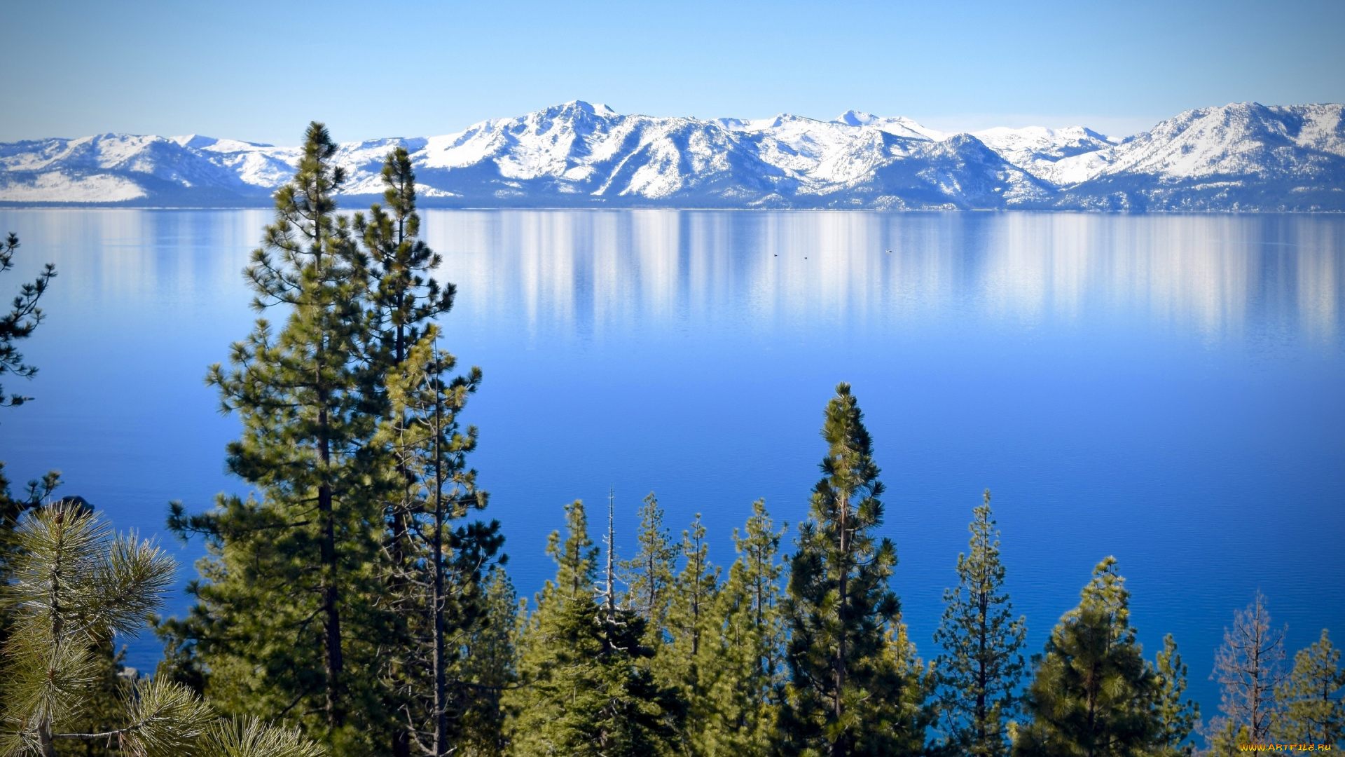 природа, реки, озера, lake, tahoe, sierra, nevada, california, озеро, тахо, сьерра-невада, калифорния, невада, горы, деревья