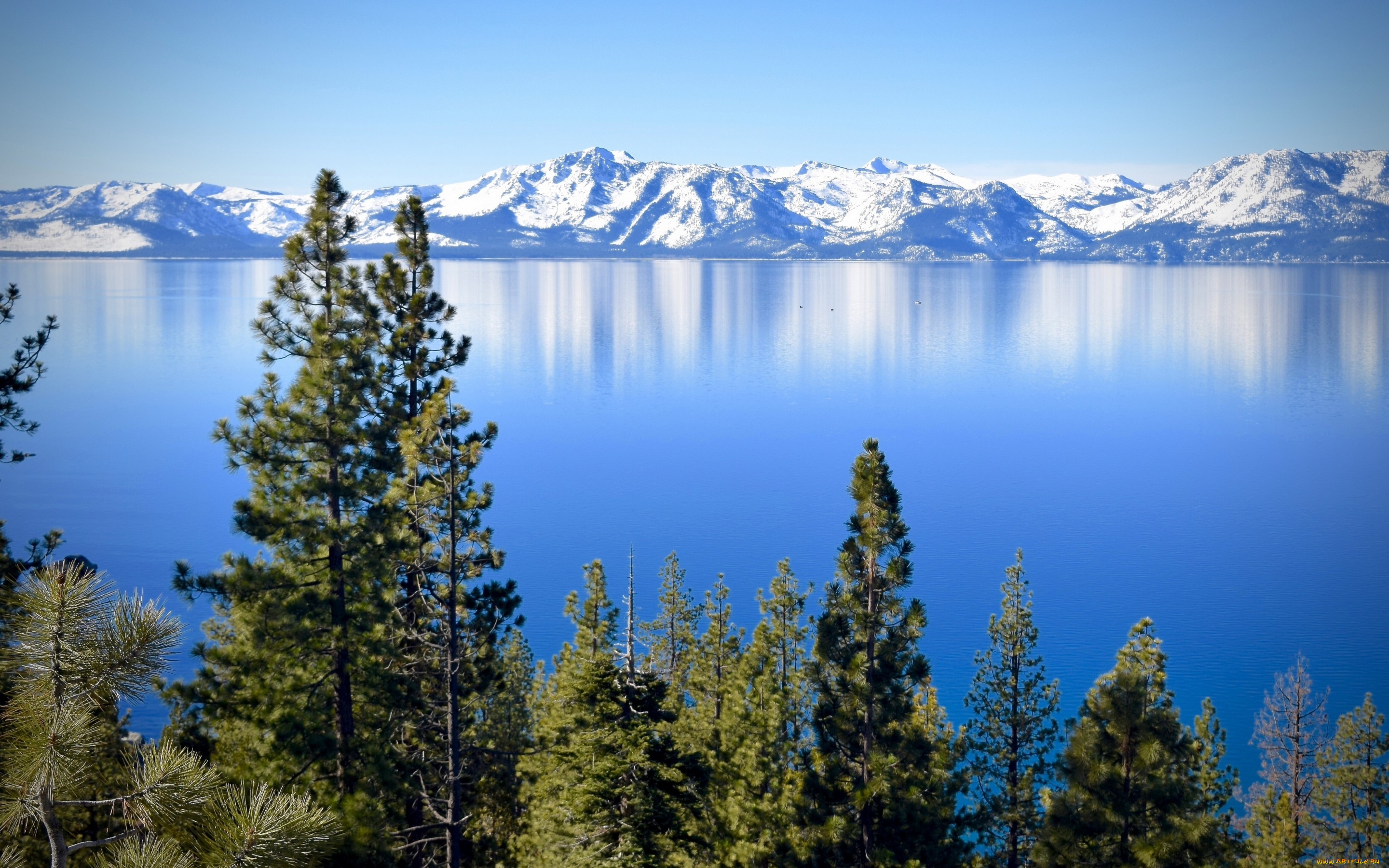 природа, реки, озера, lake, tahoe, sierra, nevada, california, озеро, тахо, сьерра-невада, калифорния, невада, горы, деревья