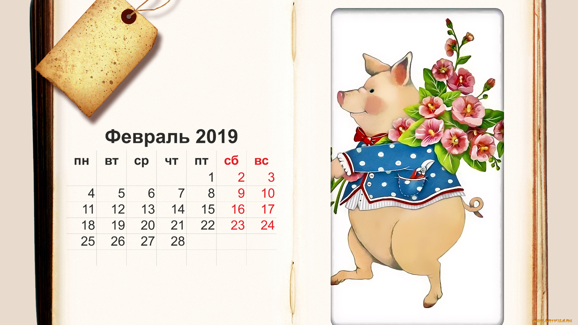 календари, рисованные, , векторная, графика, цветы, поросенок, свинья