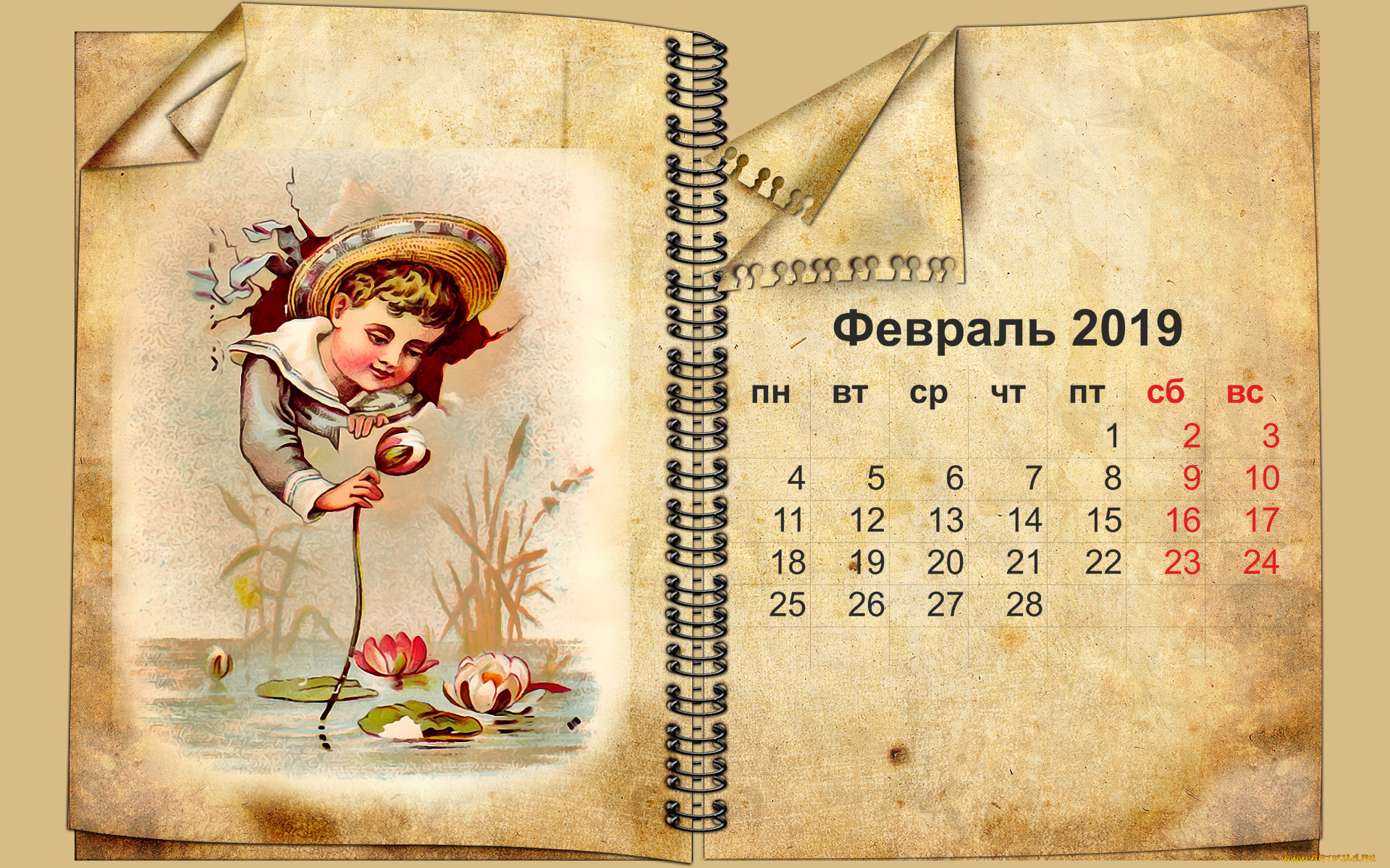 календари, рисованные, , векторная, графика, вода, цветы, шляпа, мальчик