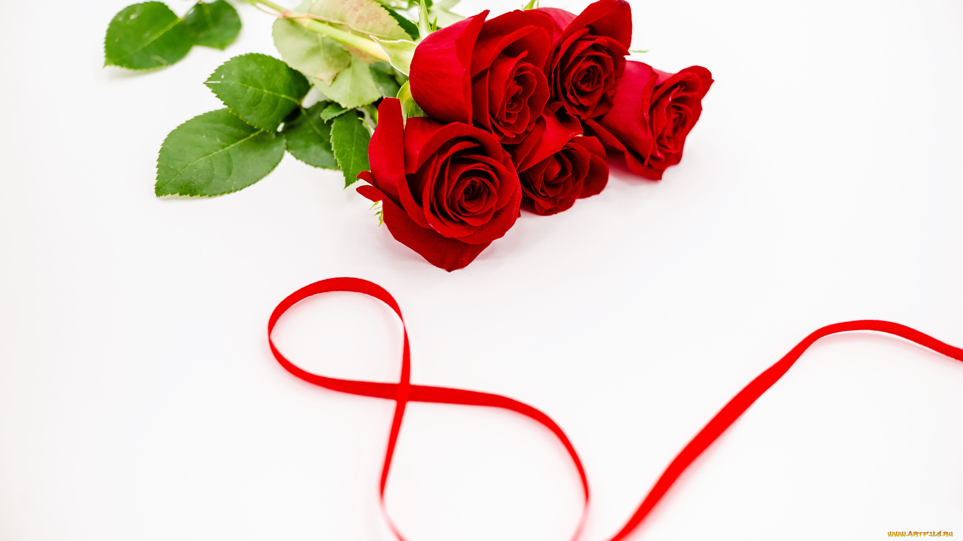 праздничные, международный, женский, день, -, 8, марта, цветы, розы, лента