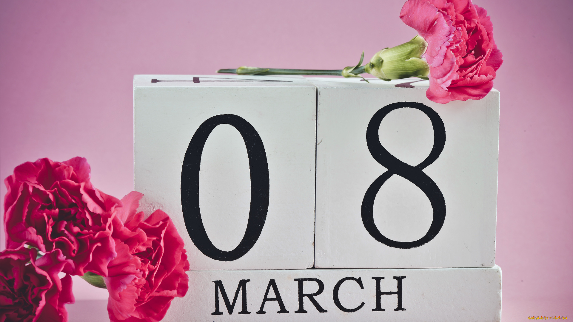 праздничные, международный, женский, день, -, 8, марта, цветы, гвоздики, дата