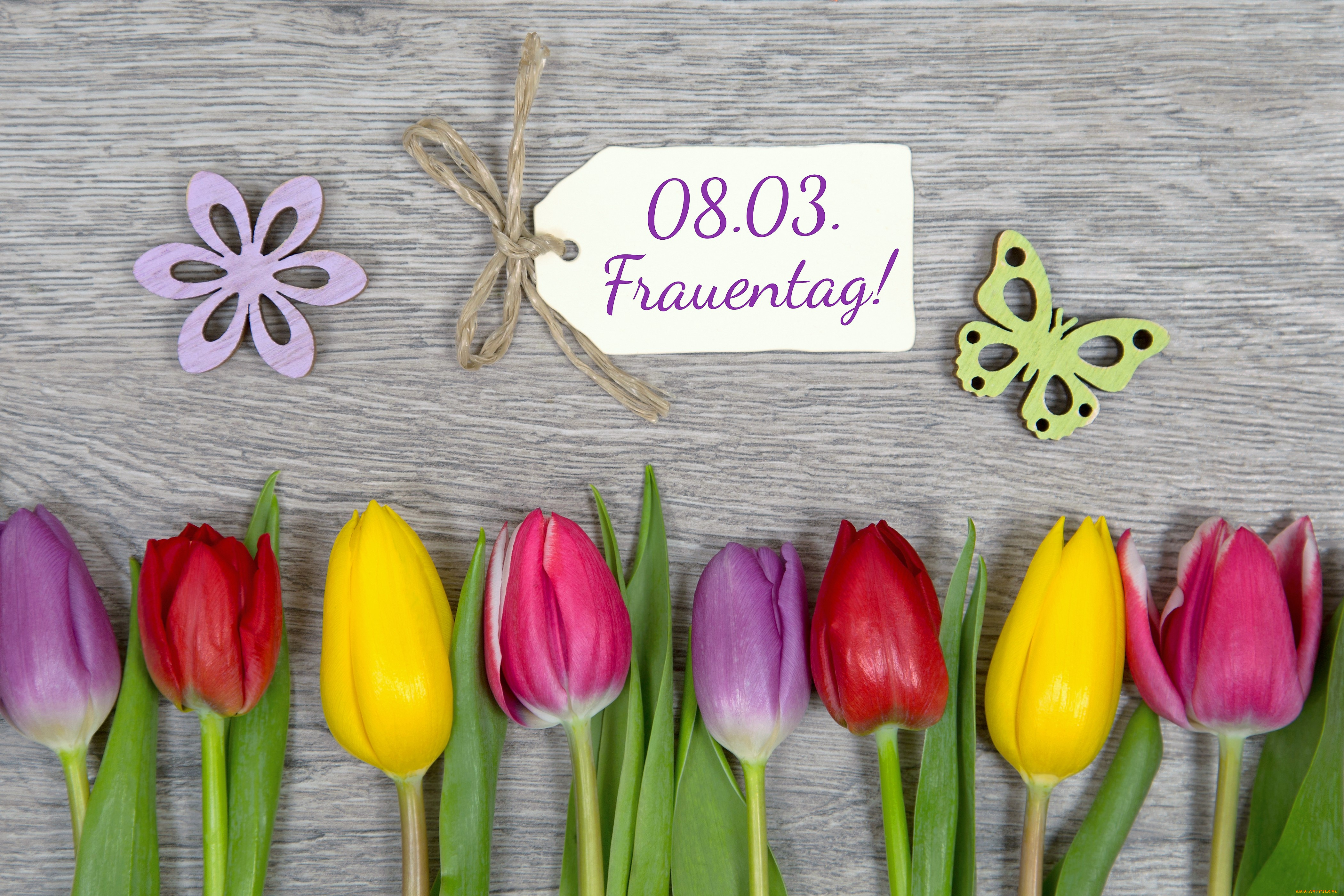 праздничные, международный, женский, день, -, 8, марта, цветы, тюльпаны