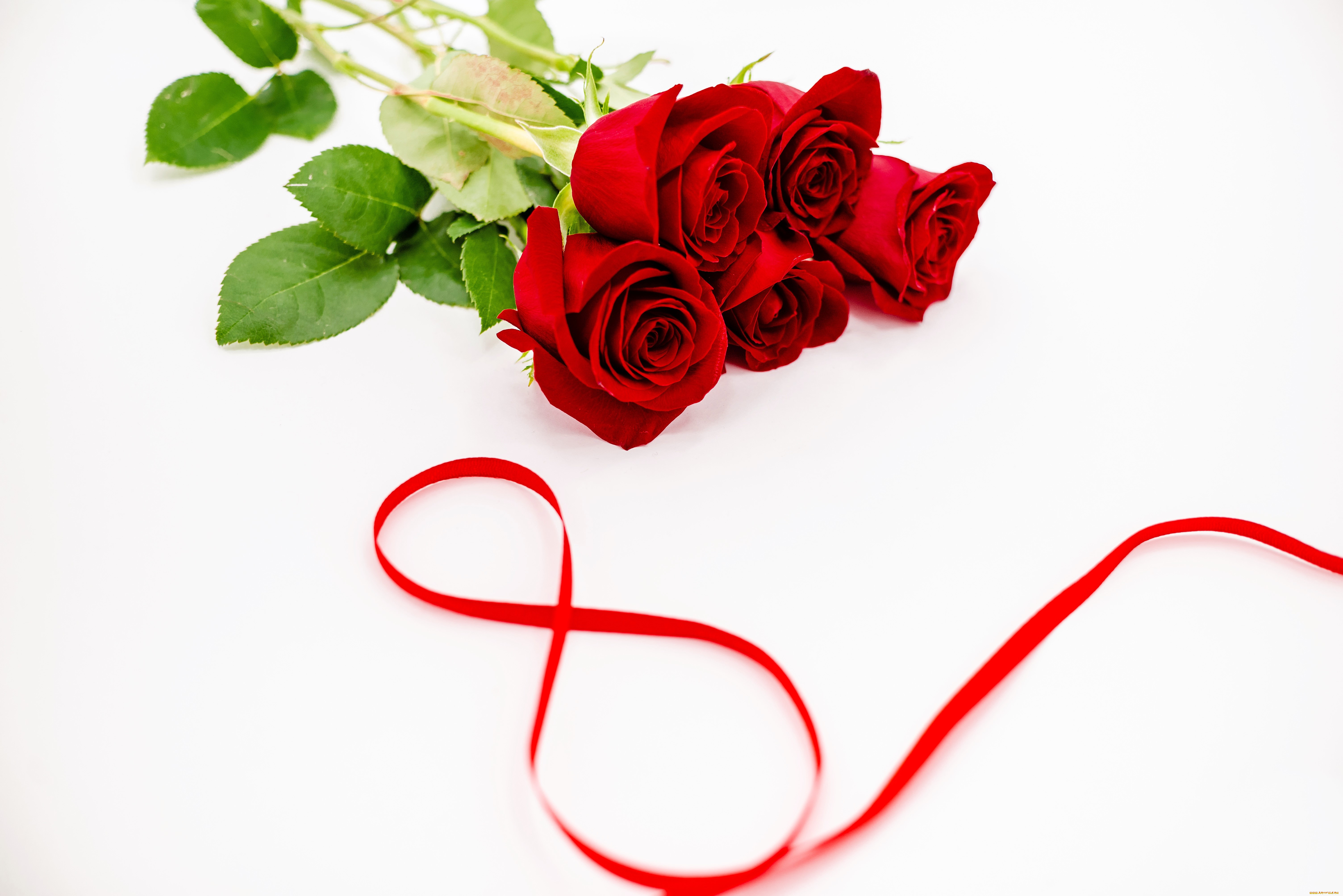 праздничные, международный, женский, день, -, 8, марта, цветы, розы, лента