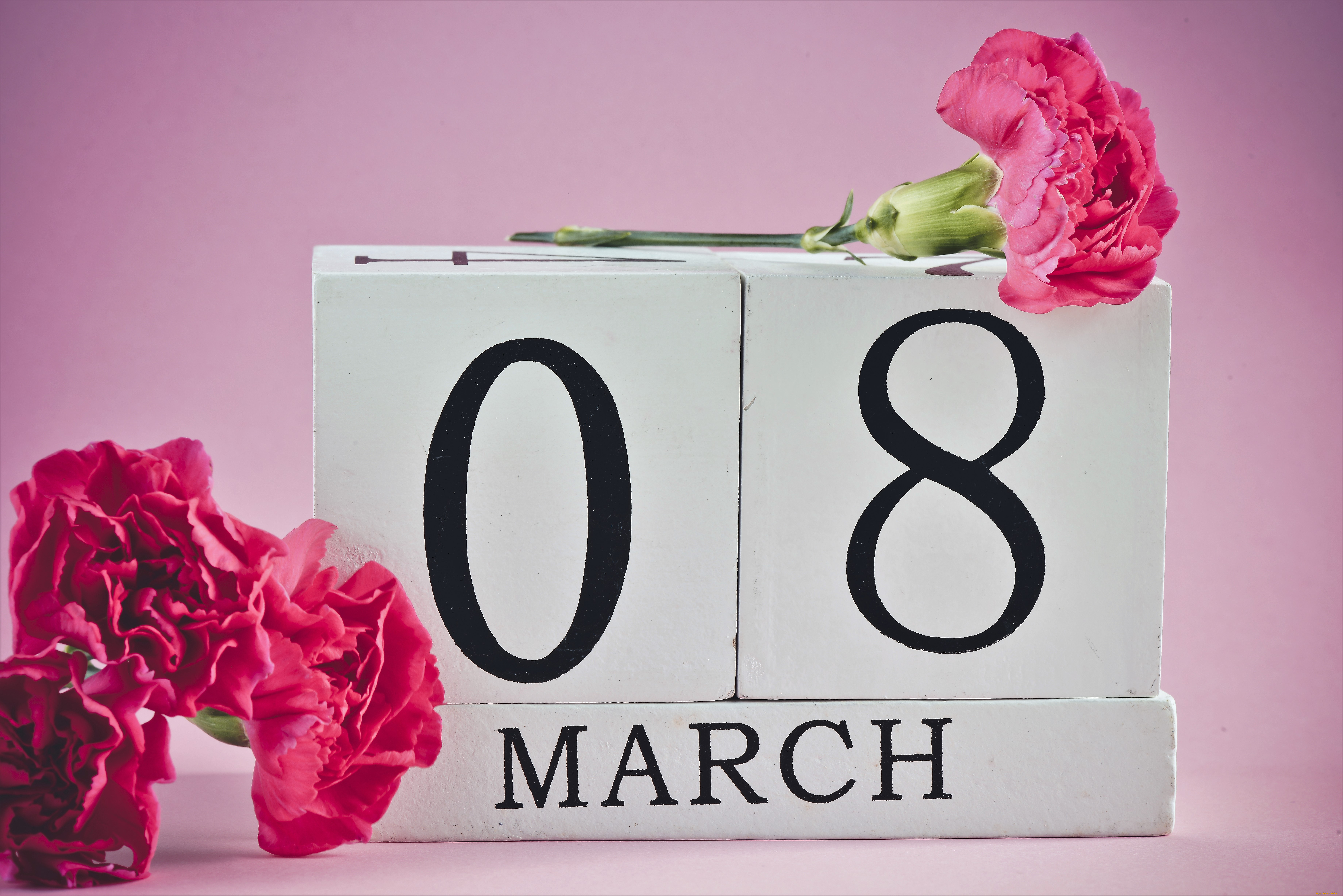 праздничные, международный, женский, день, -, 8, марта, цветы, гвоздики, дата