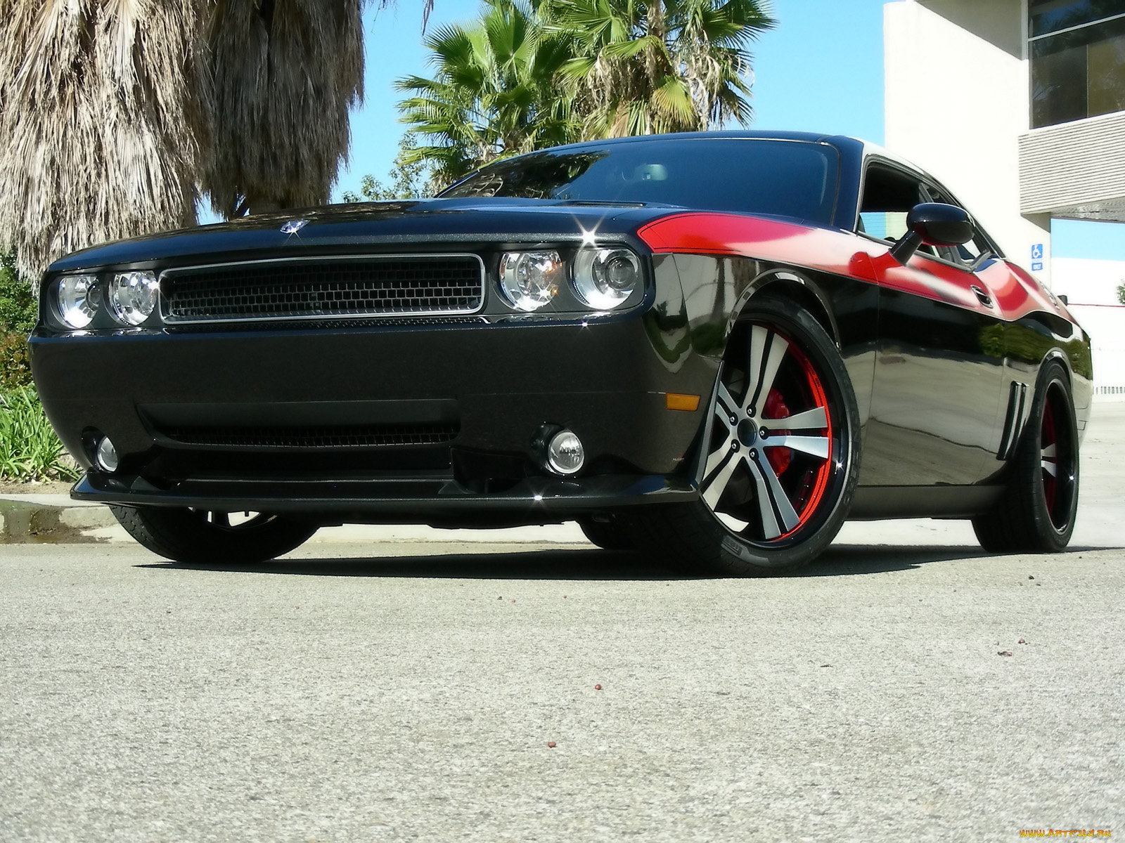 2009, mr, norms, super, dodge, challenger, автомобили