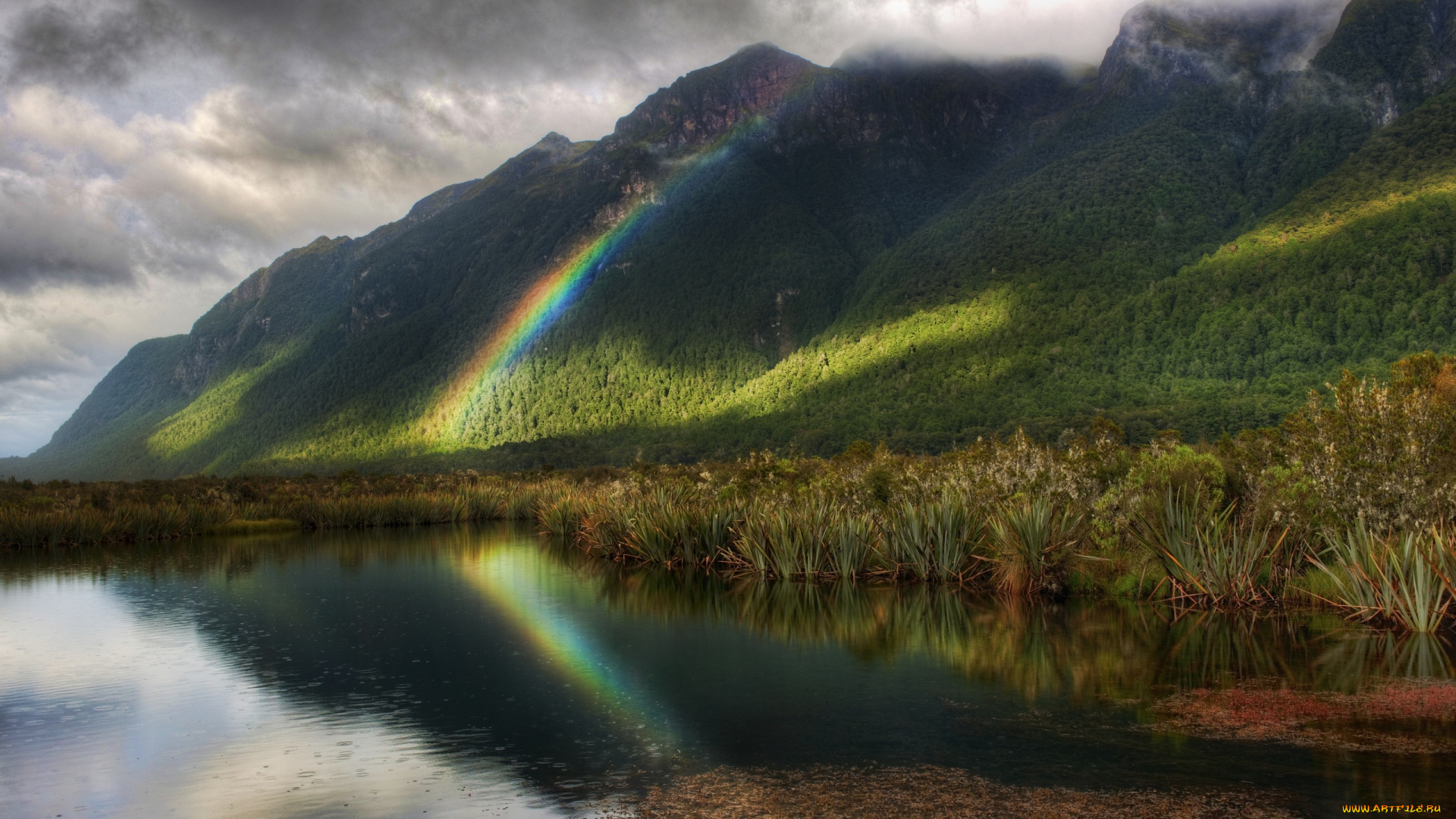 new, zealand, природа, радуга