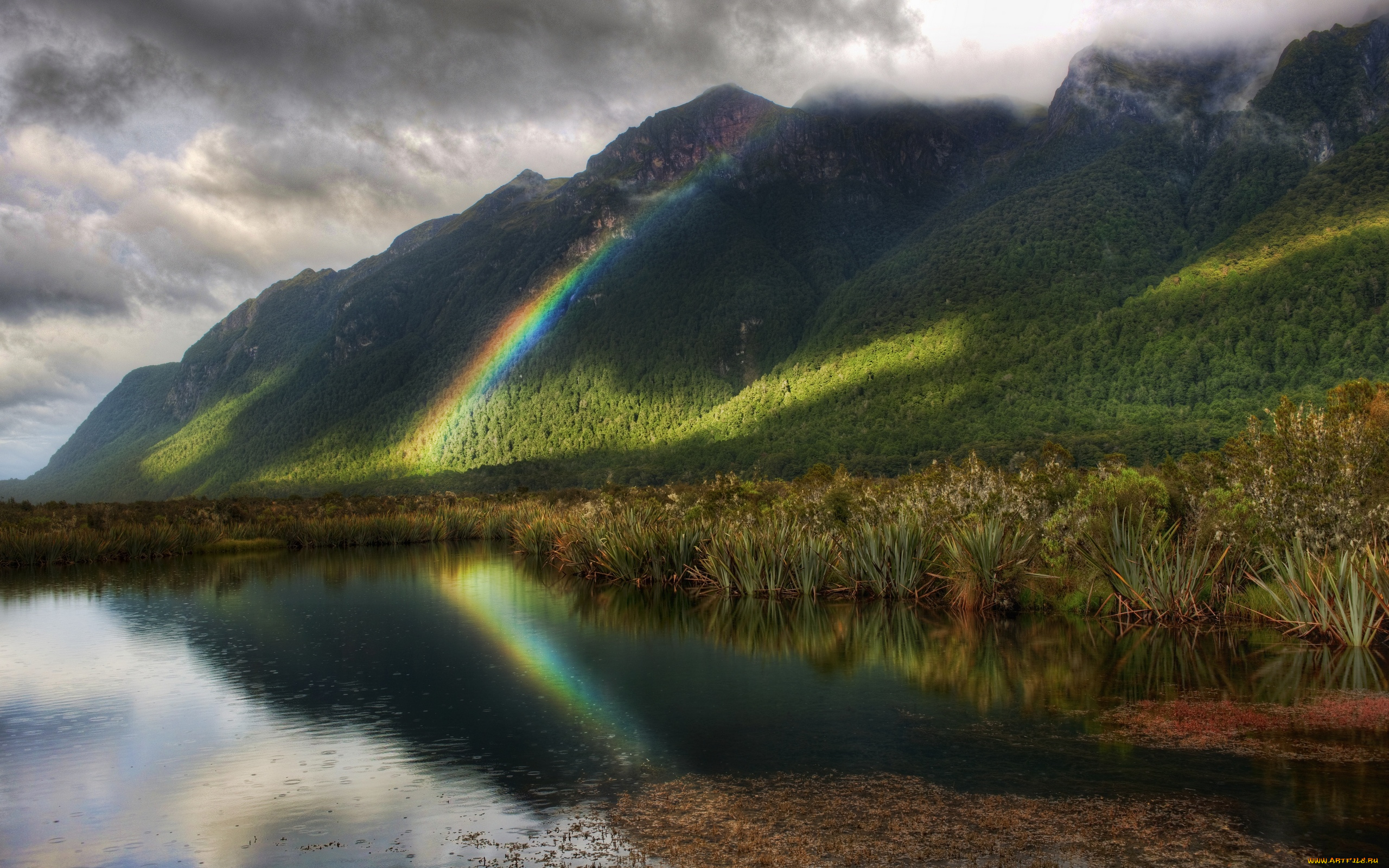 new, zealand, природа, радуга