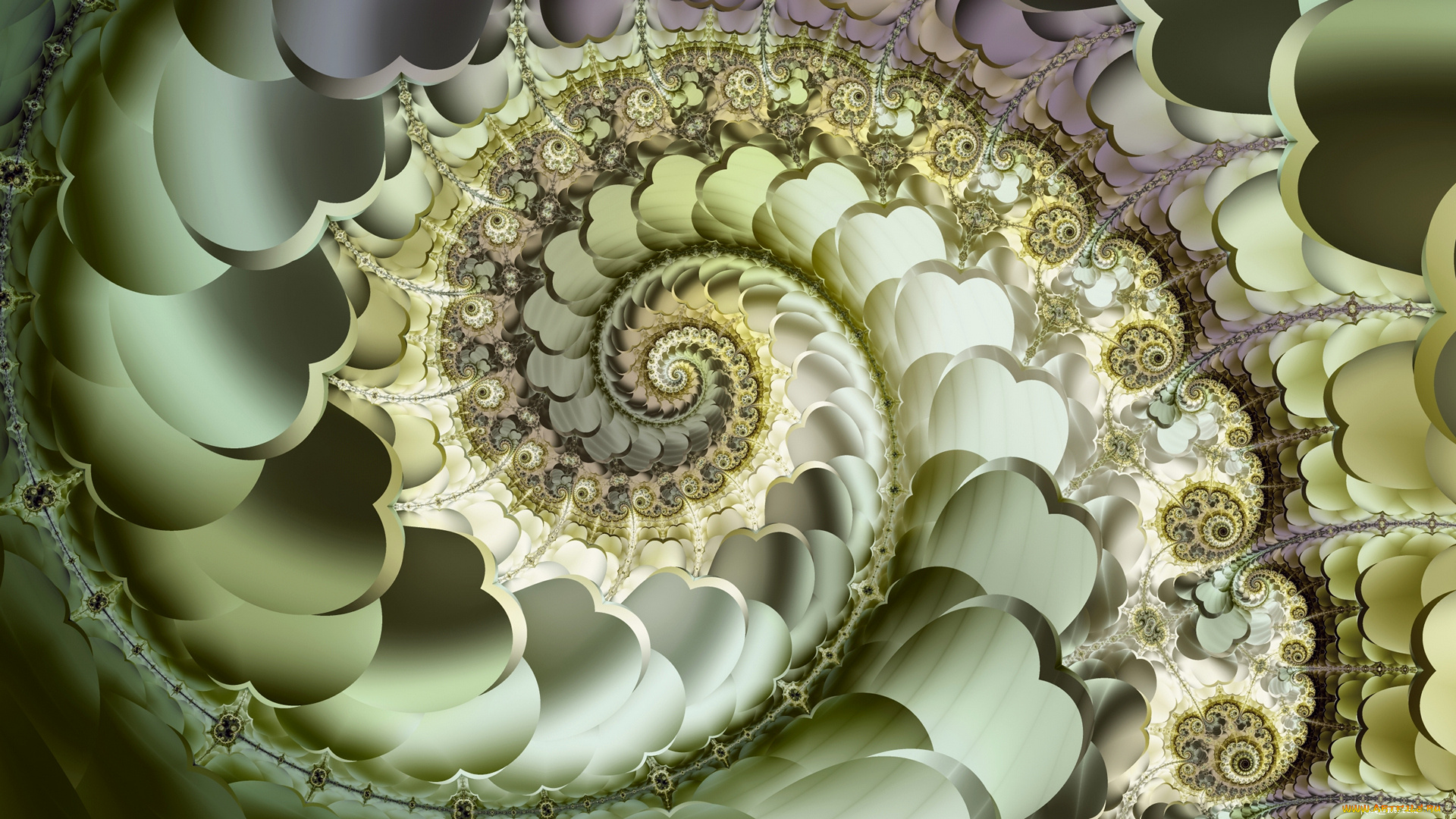 3д, графика, fractal, , фракталы, цвета, узор, фон