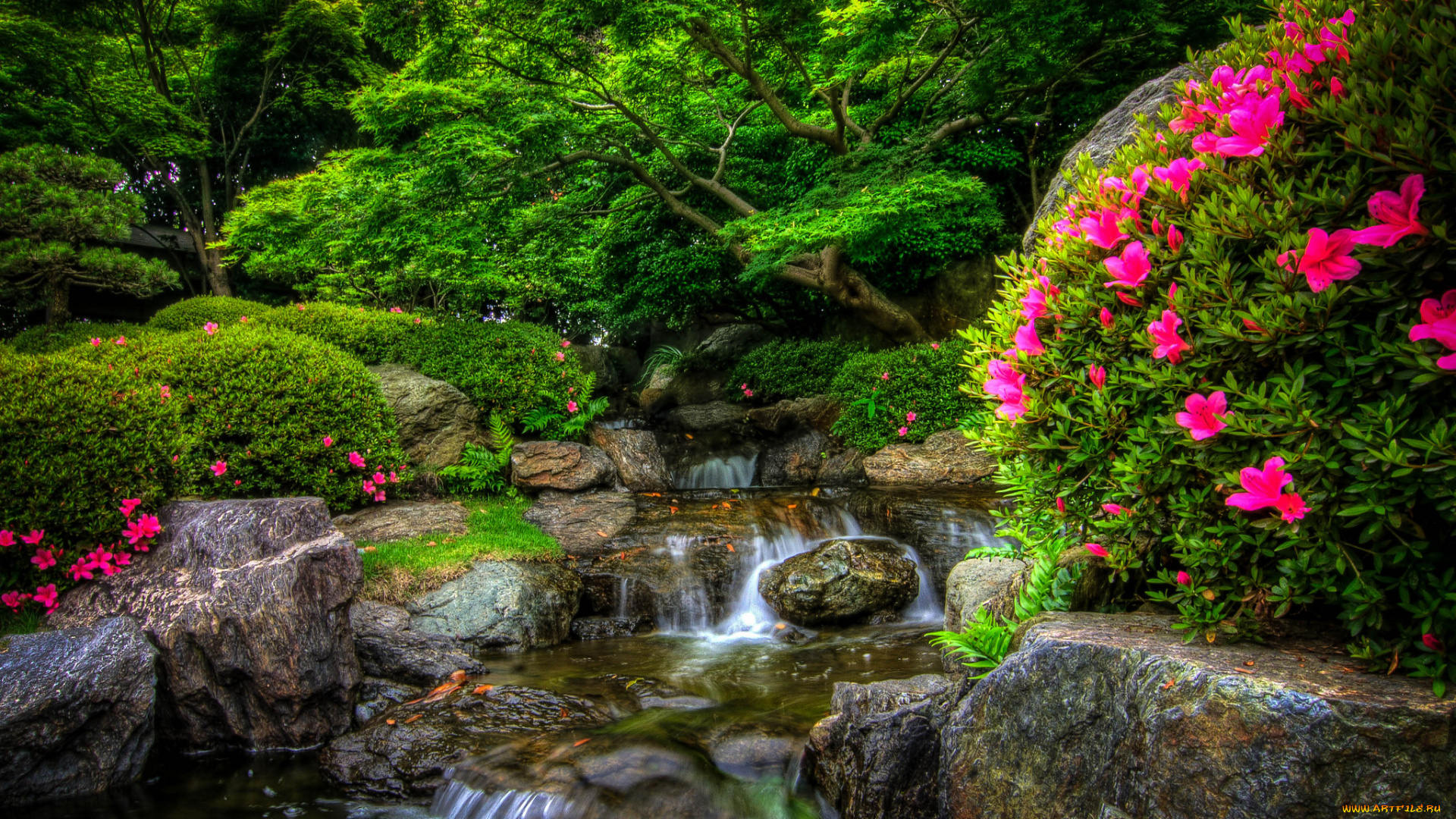 природа, парк, лес, река, камни, цветы