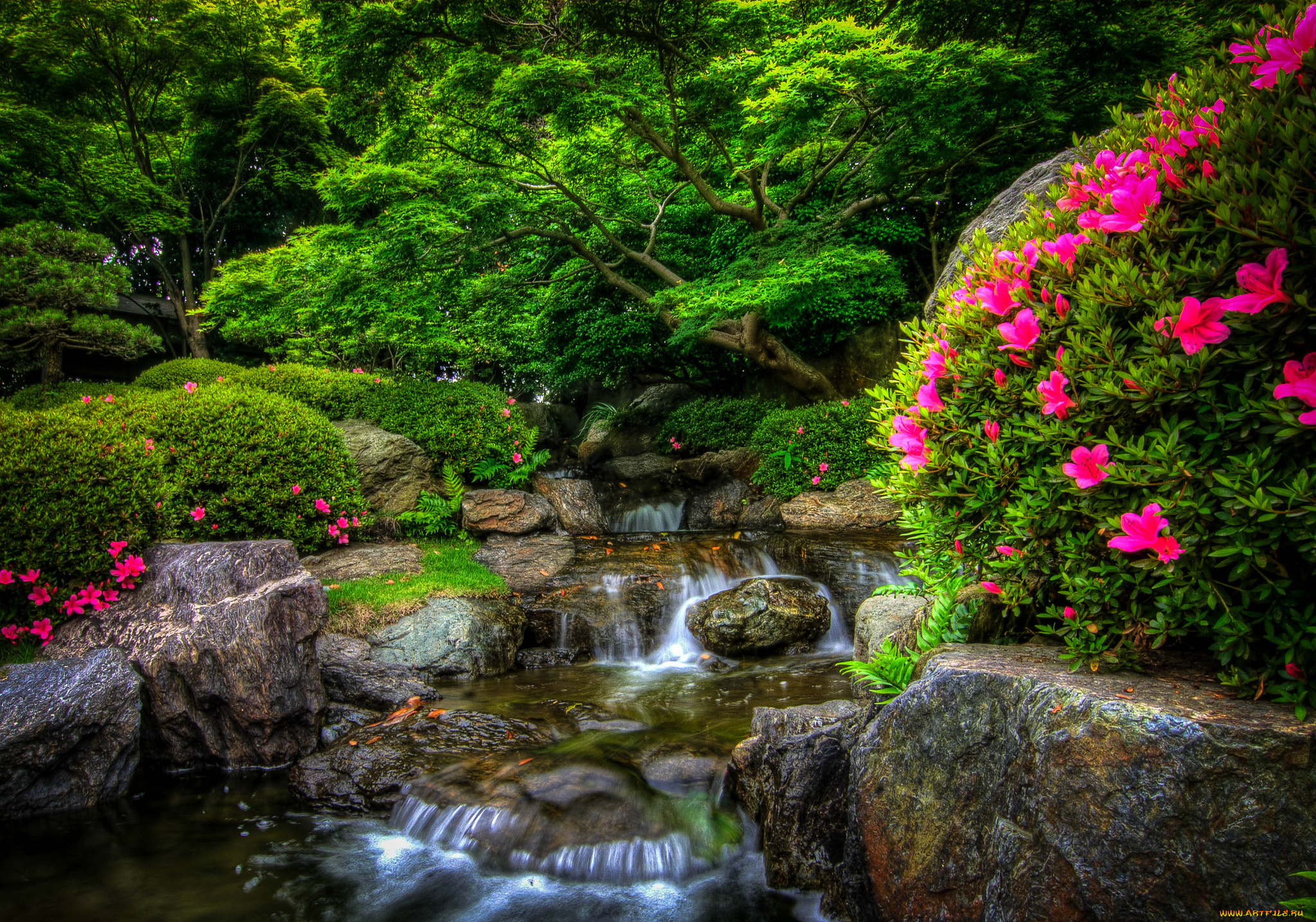 природа, парк, лес, река, камни, цветы
