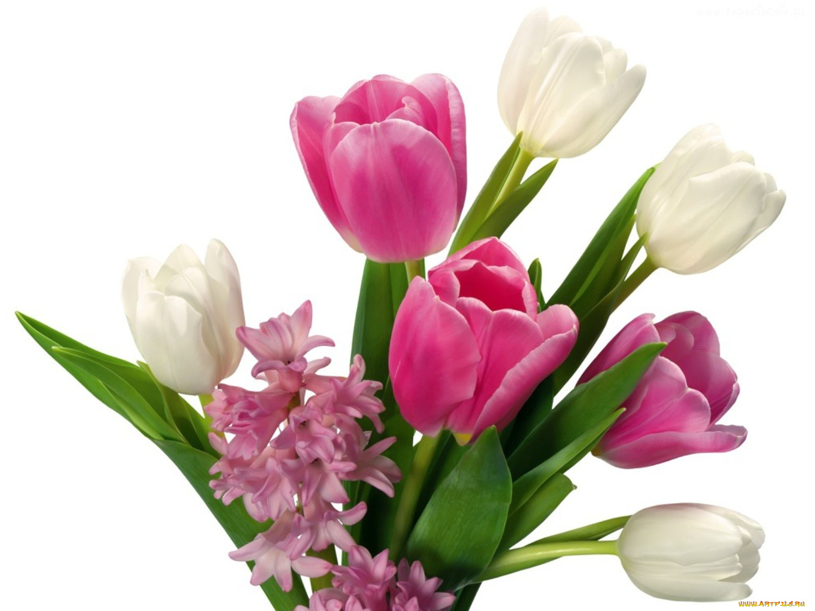 цветы, разные, вместе, тюльпаны, гиацинт