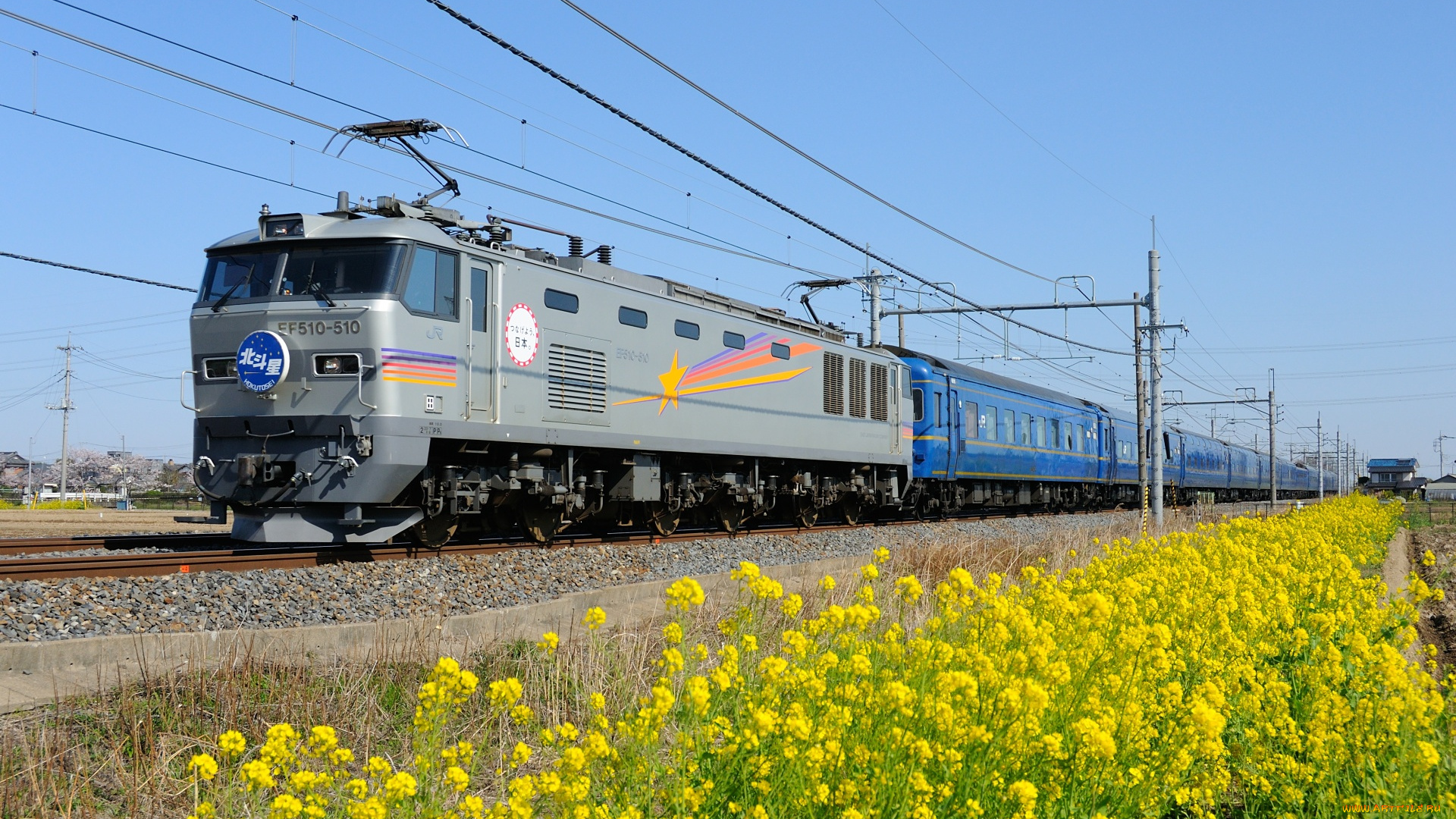 техника, поезда, цветы, поезд