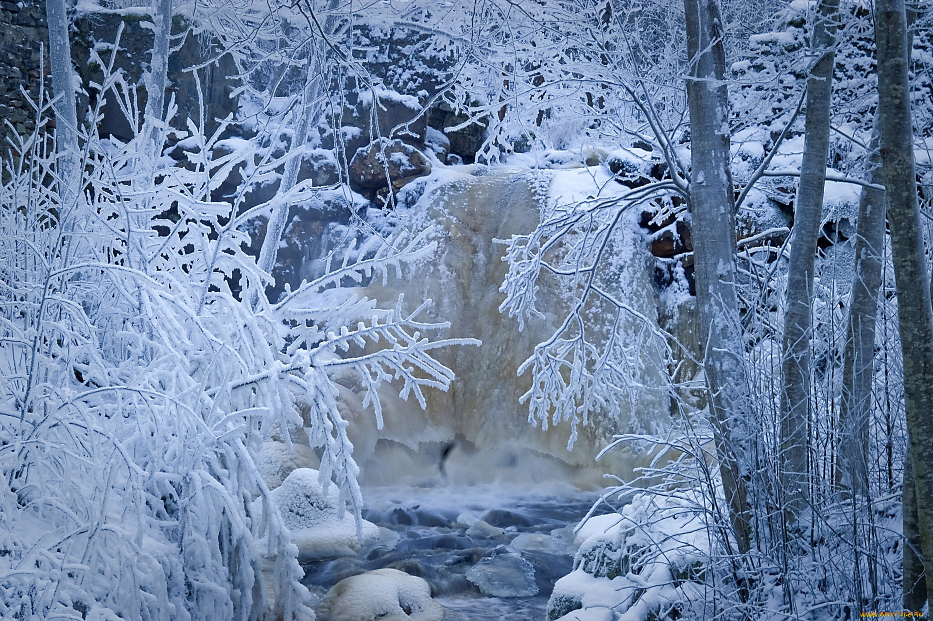 природа, зима, снег, лес, деревья, ручей, речка, швеция, иней