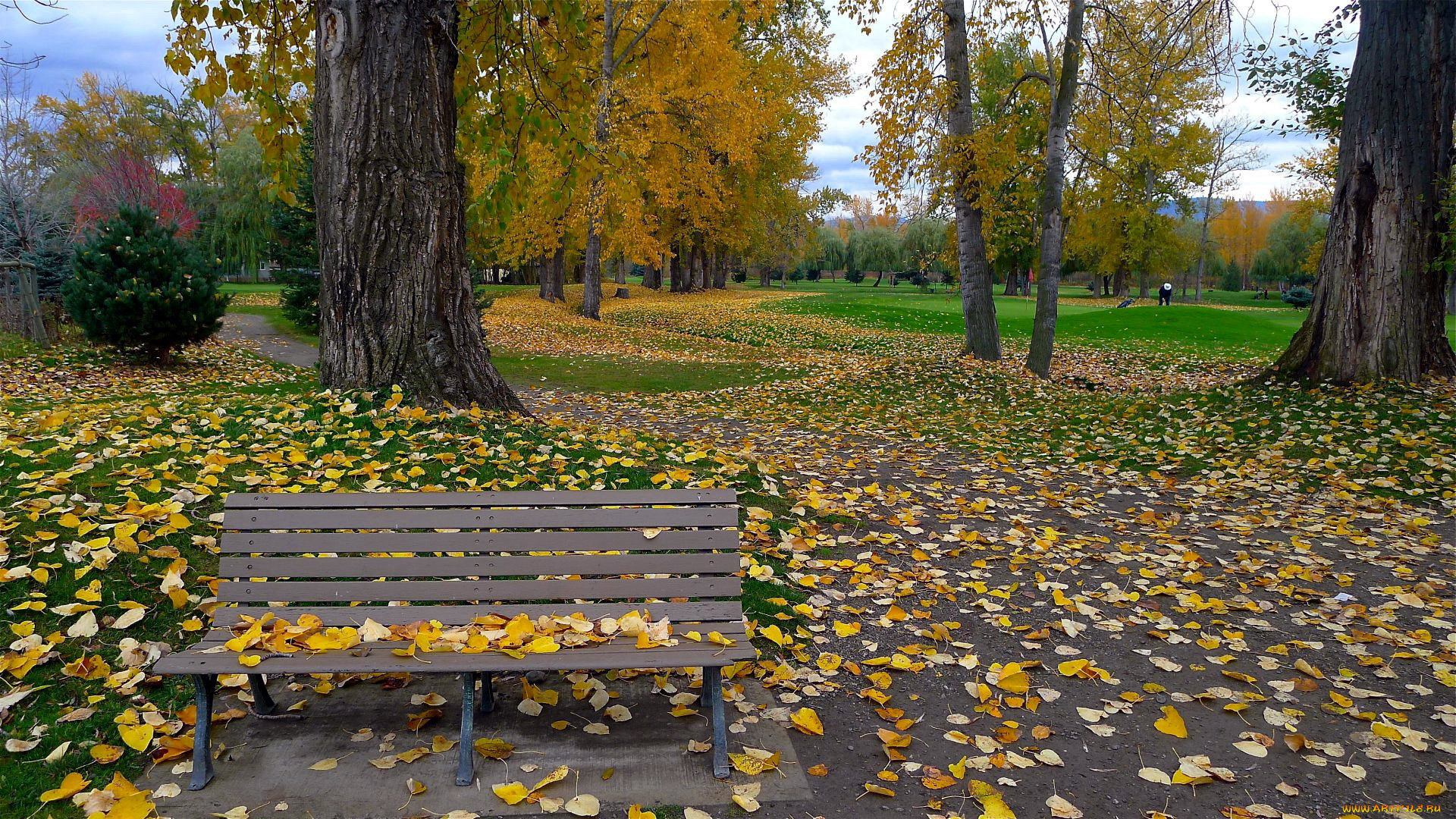 природа, парк, скамейка, деревья, осень, листопад, листва